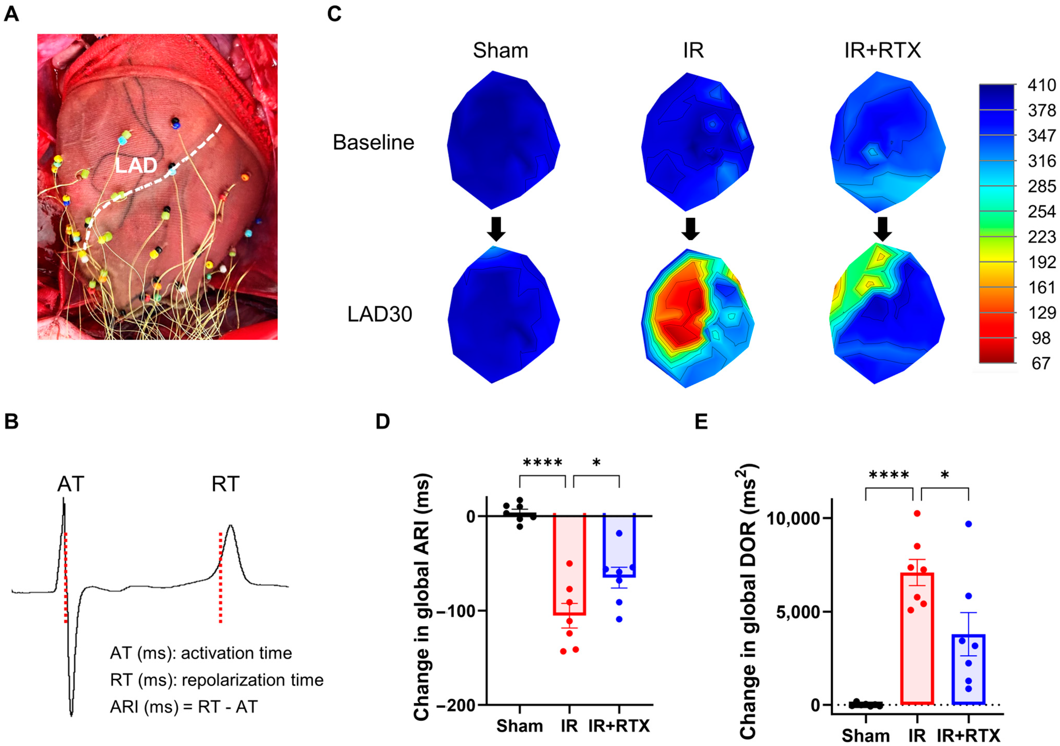 Biomedicines 11 02720 g002
