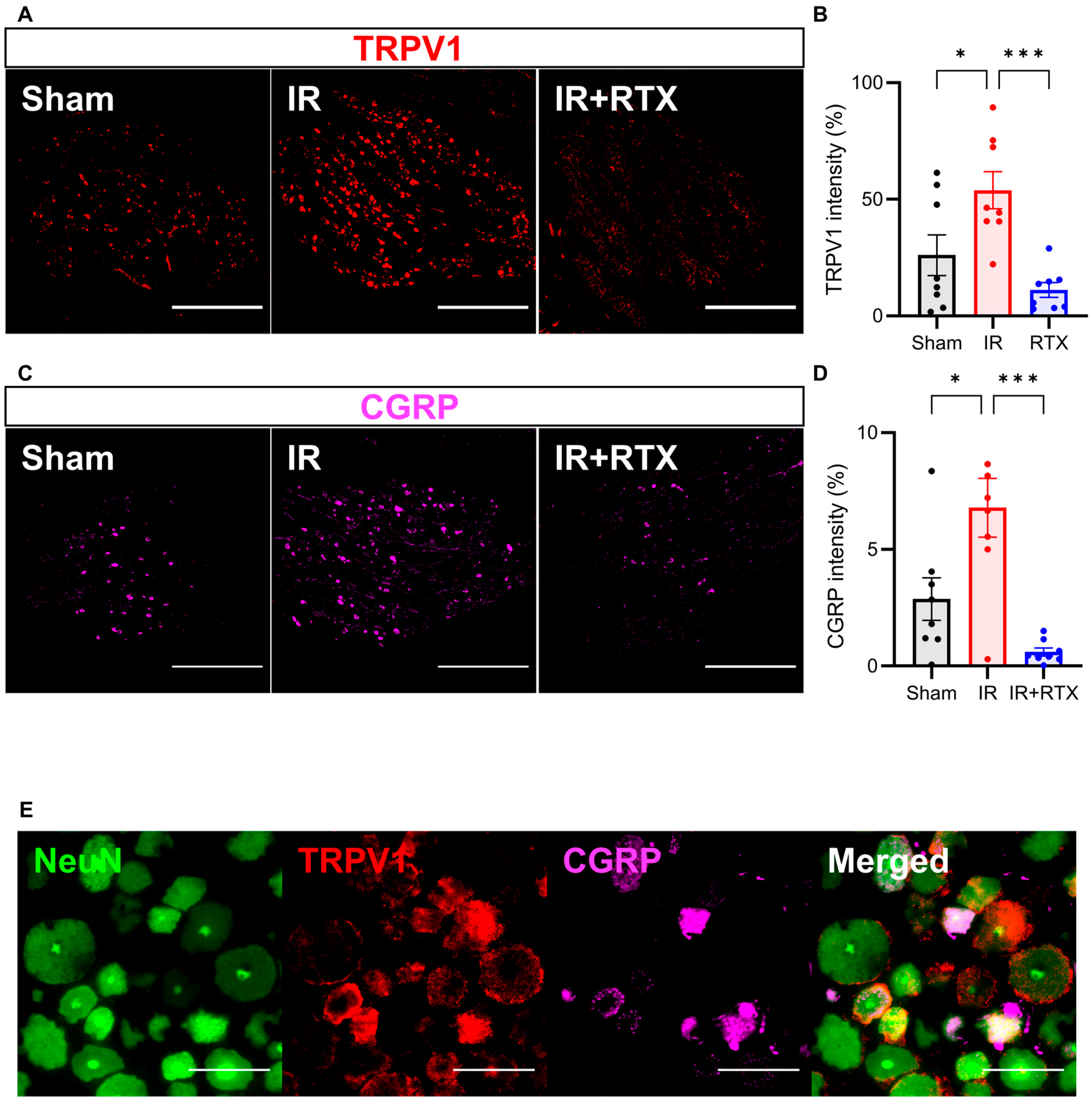 Biomedicines 11 02720 g004