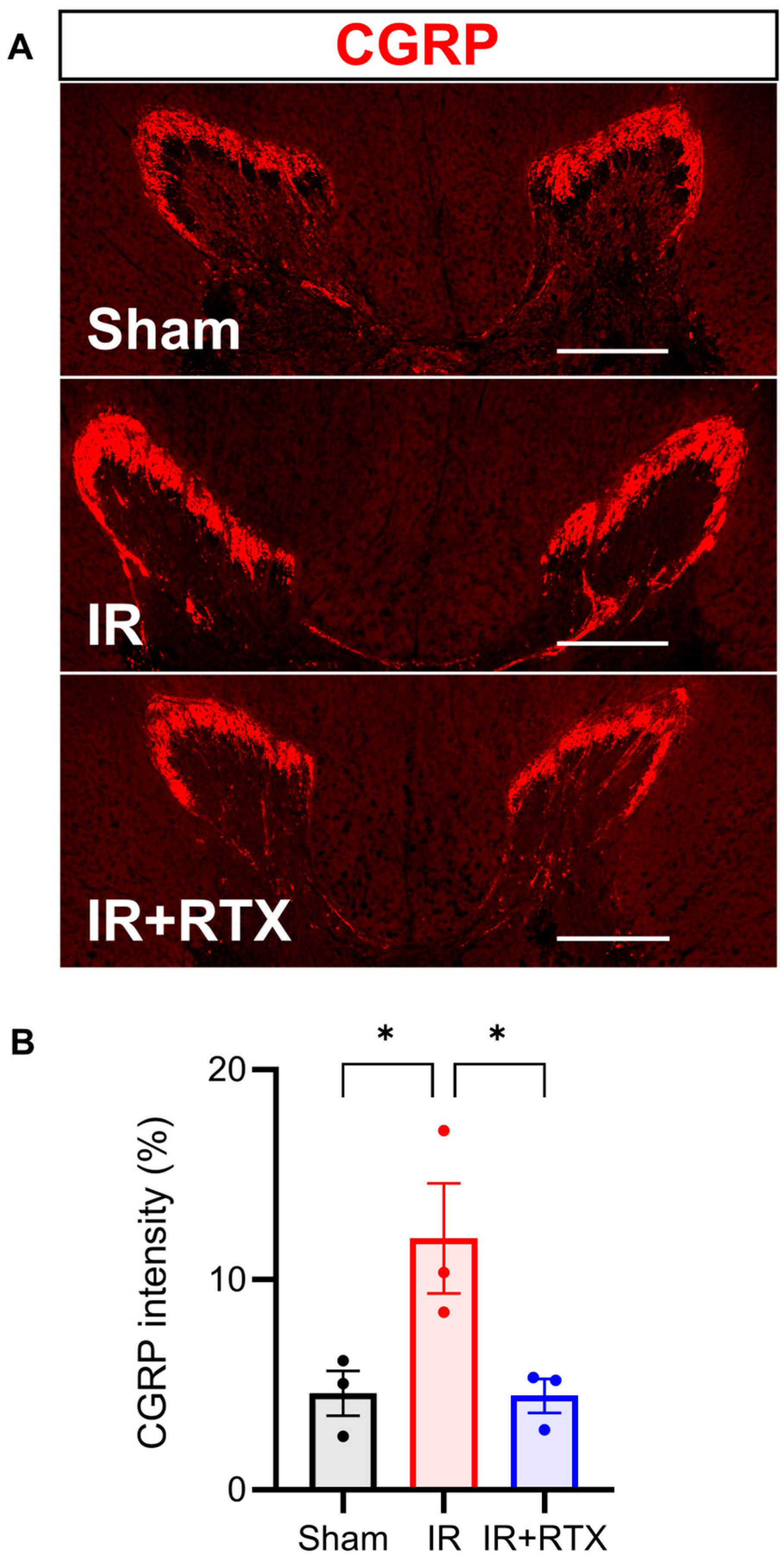 Biomedicines 11 02720 g005