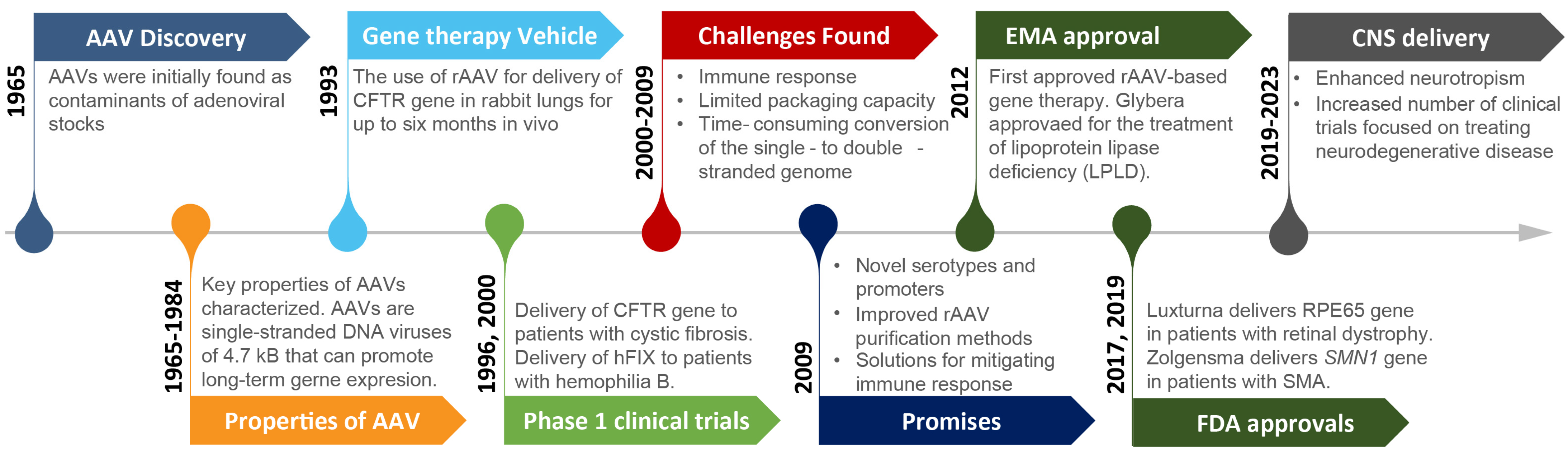 Biomedicines 11 02725 g001