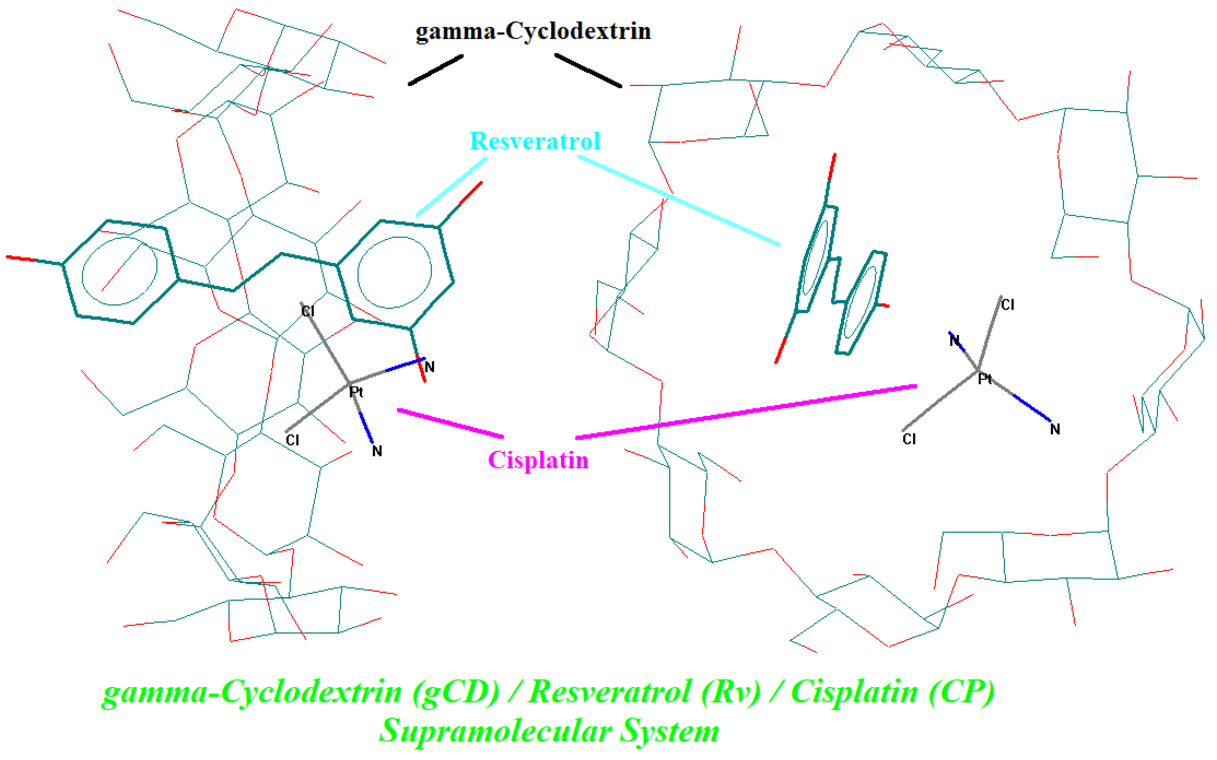 Biomedicines 11 02726 g004