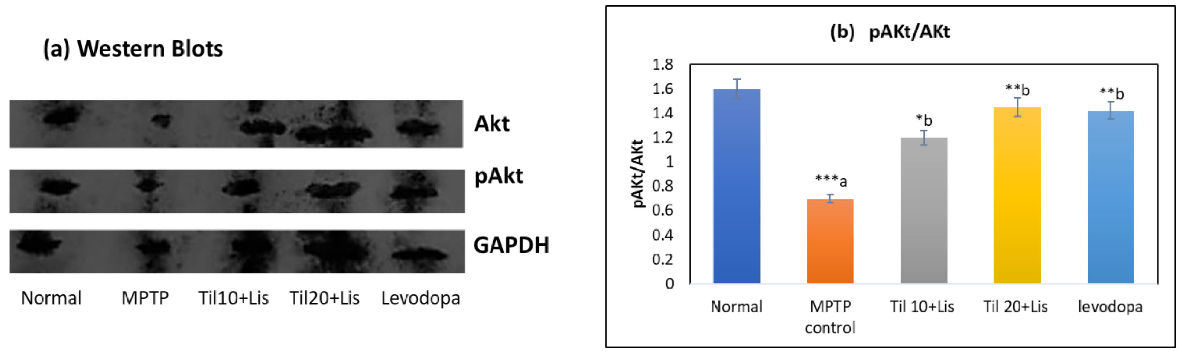Biomedicines 11 02735 g007