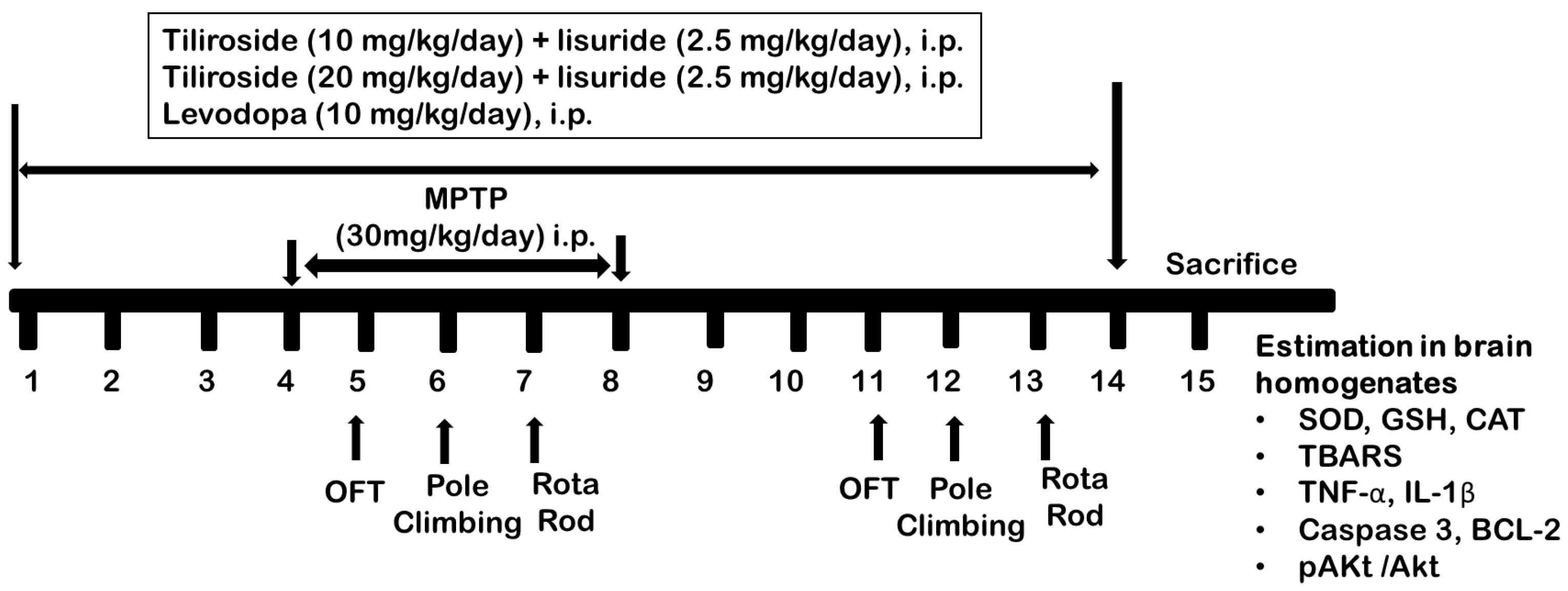 Biomedicines 11 02735 sch002