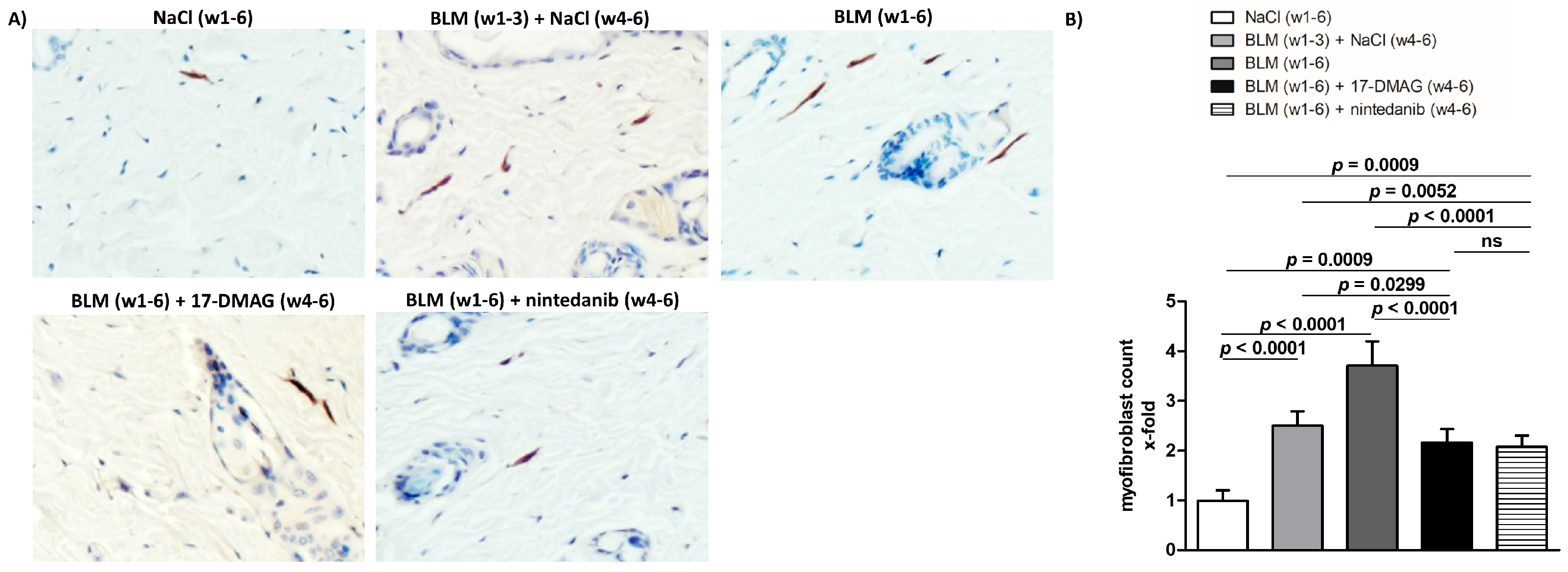 Biomedicines 11 02736 g001