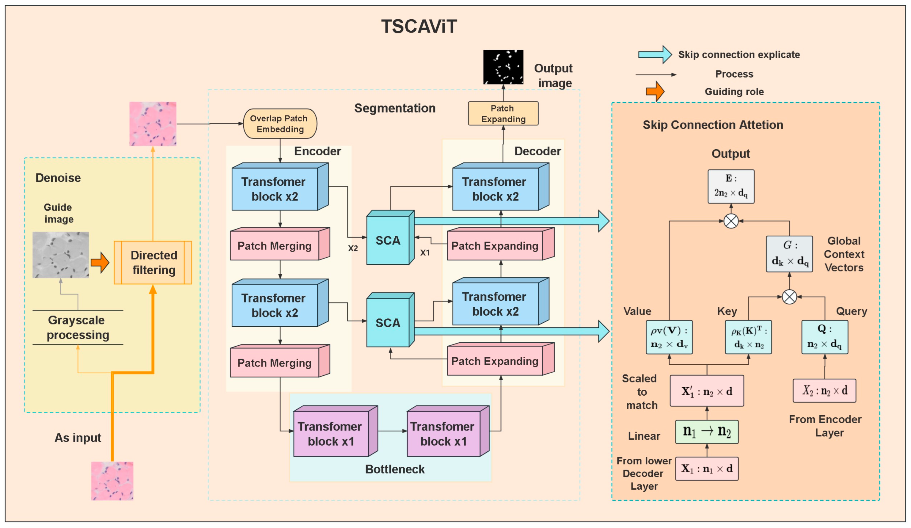 Biomedicines 11 02740 g001