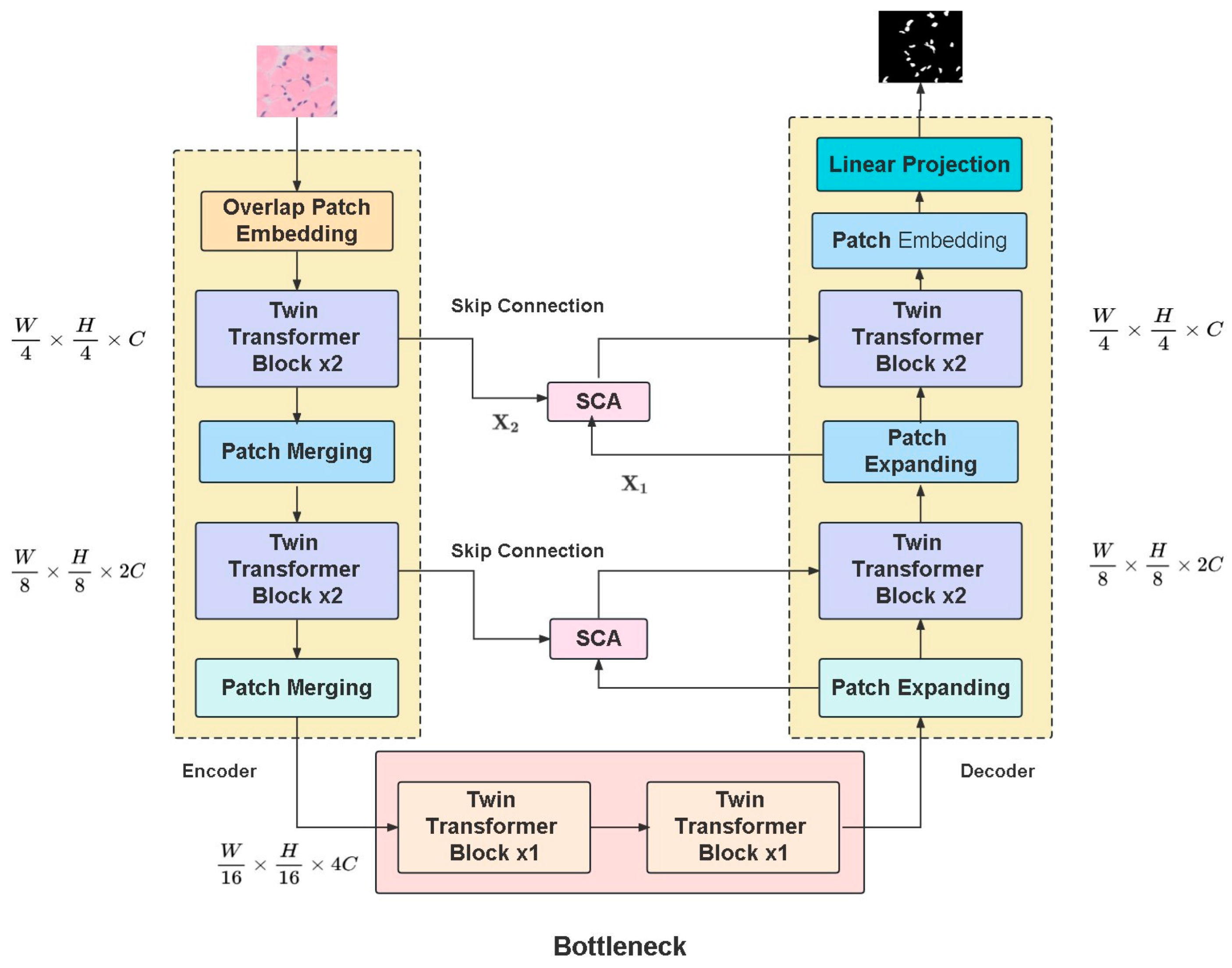 Biomedicines 11 02740 g002