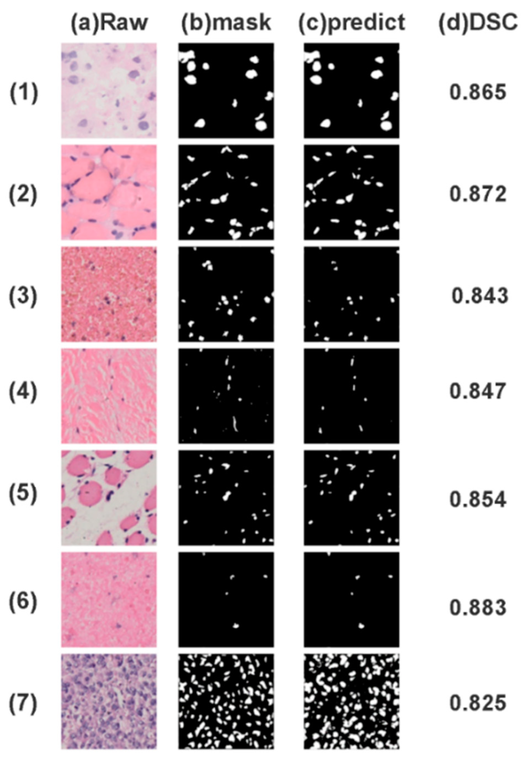Biomedicines 11 02740 g006