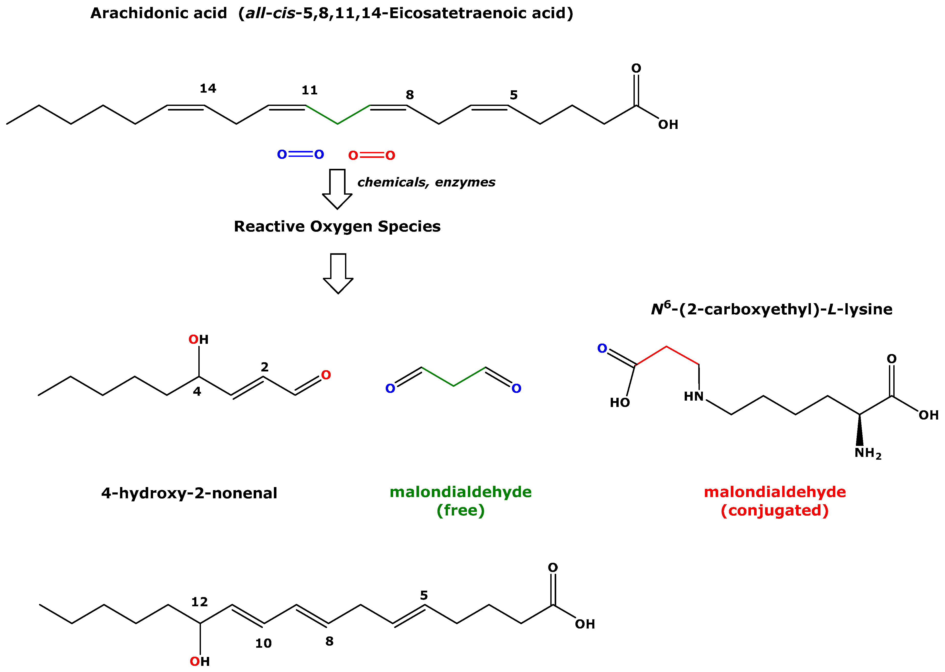Biomedicines 11 02744 g001