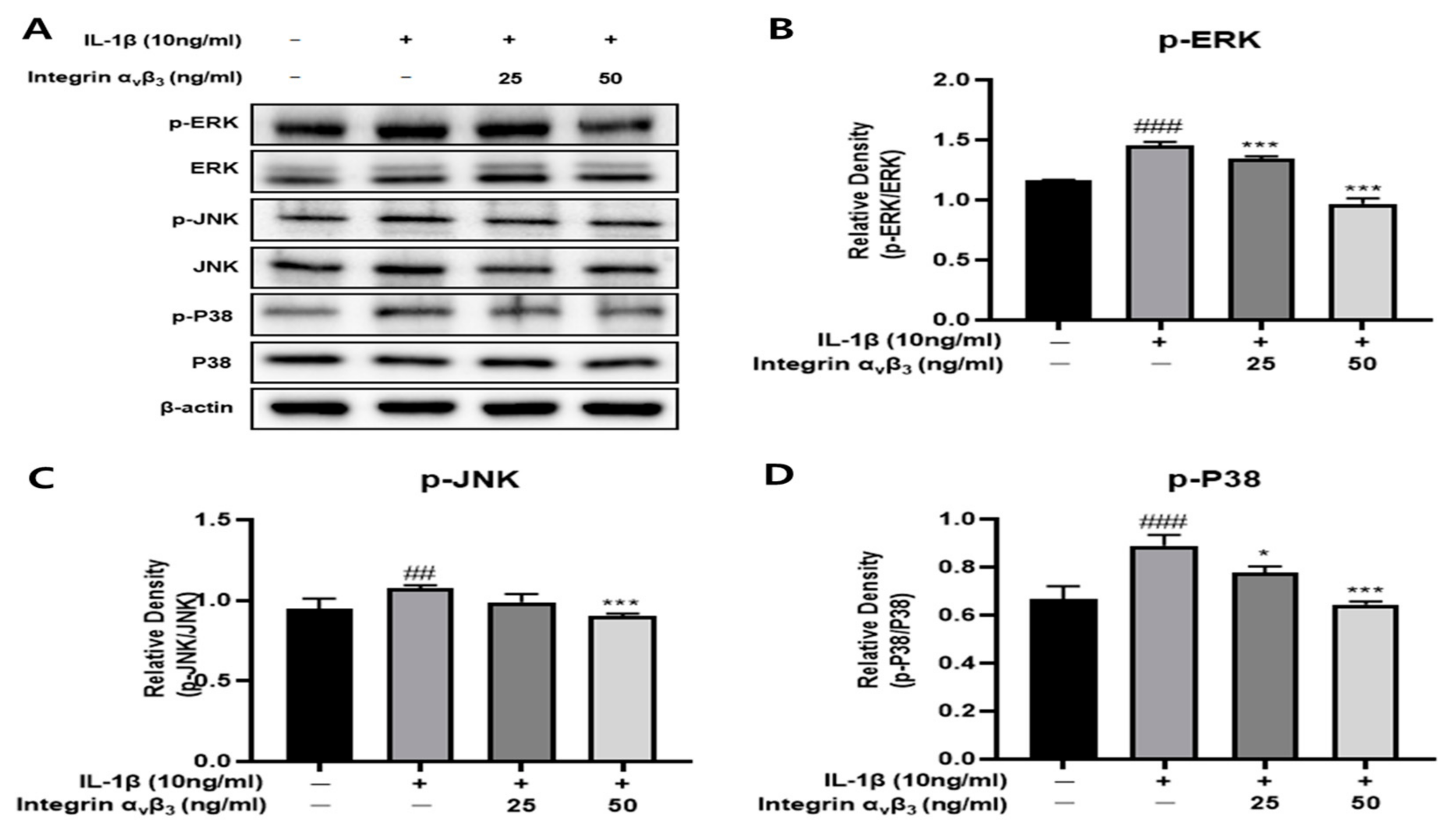 Biomedicines 11 02745 g003