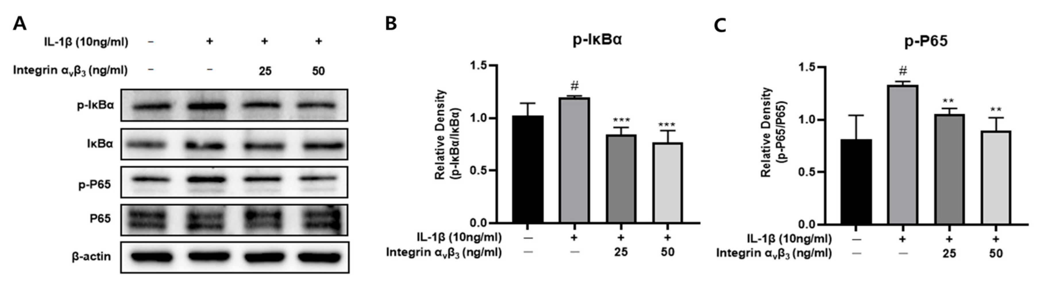 Biomedicines 11 02745 g004