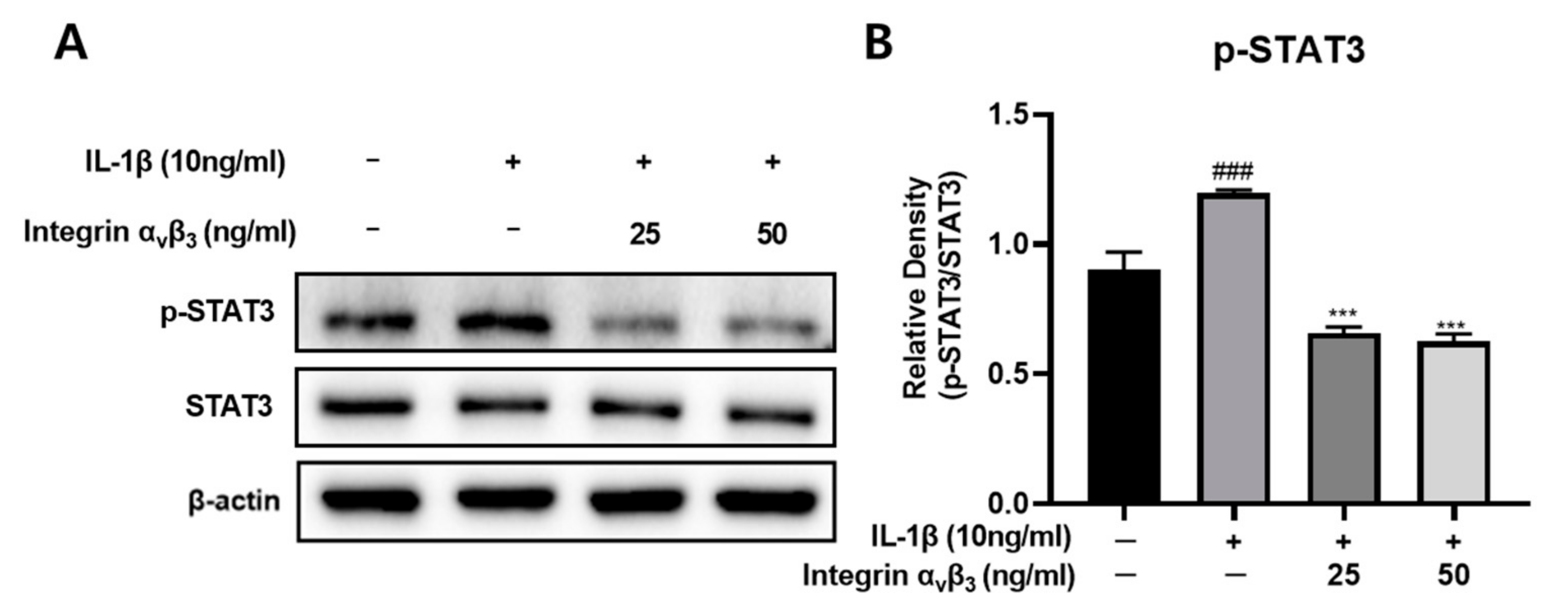 Biomedicines 11 02745 g005
