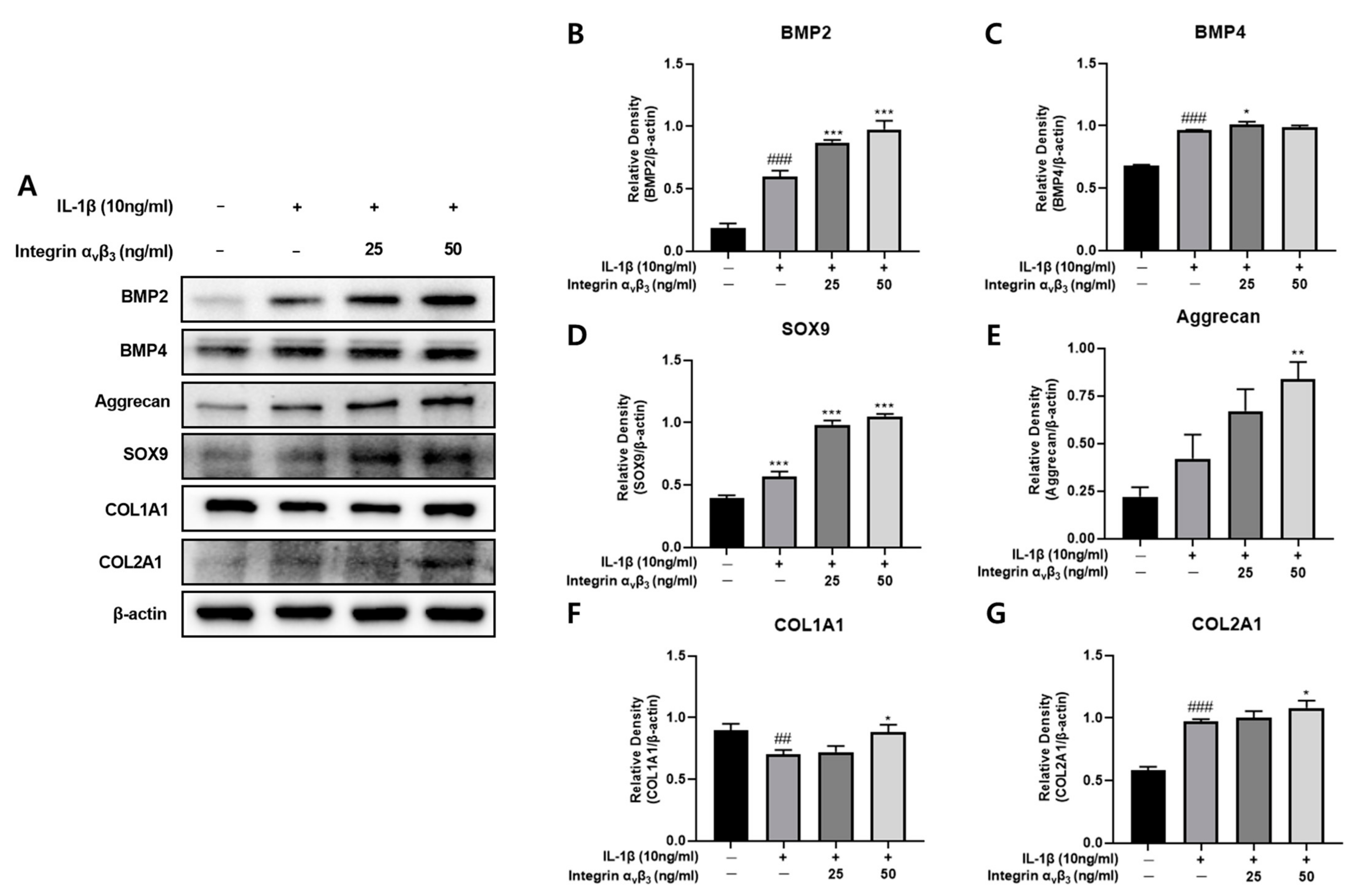 Biomedicines 11 02745 g007