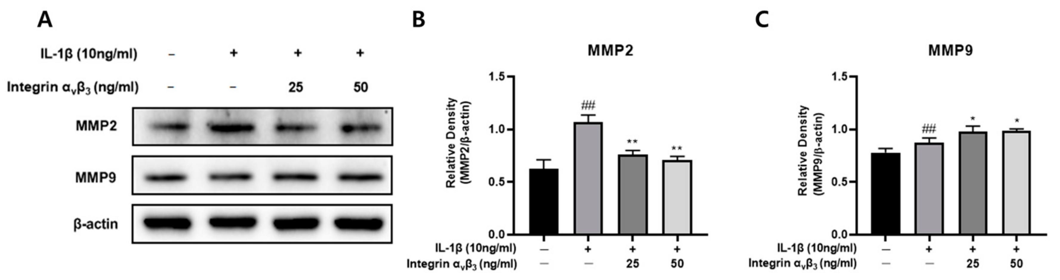 Biomedicines 11 02745 g008