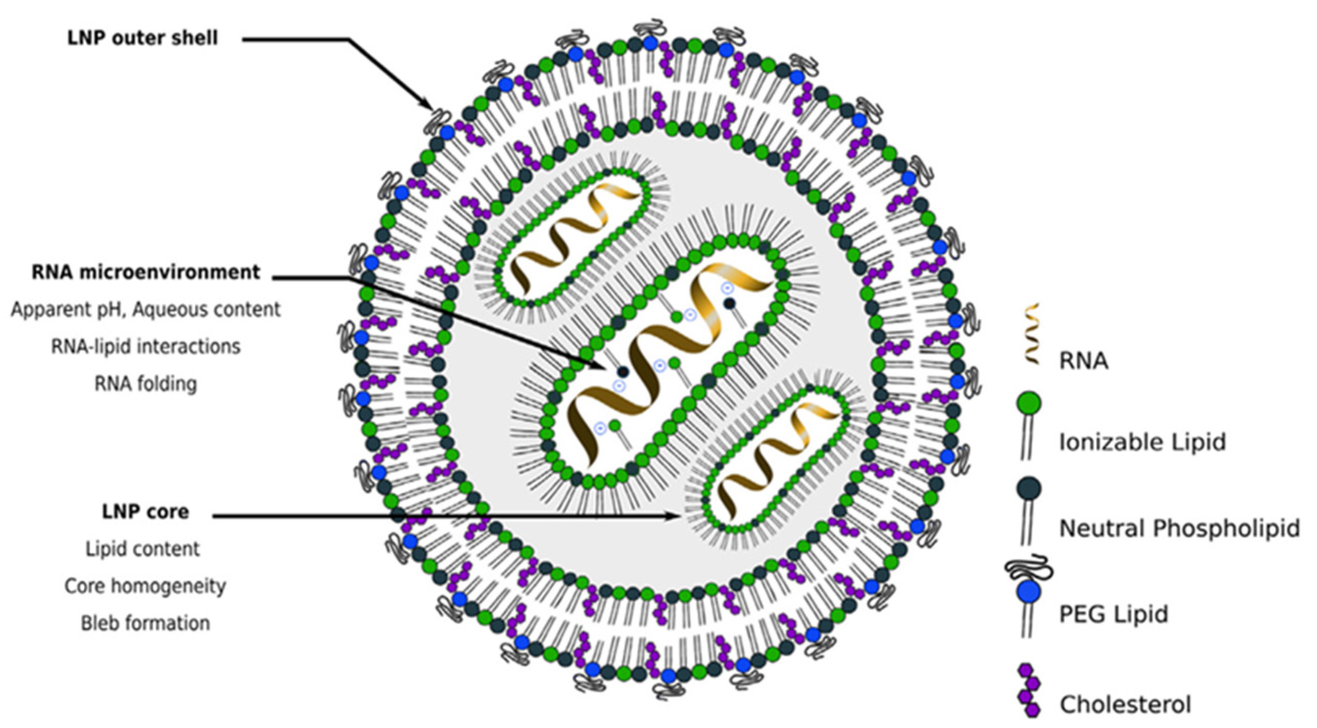 Biomedicines 11 02752 g002