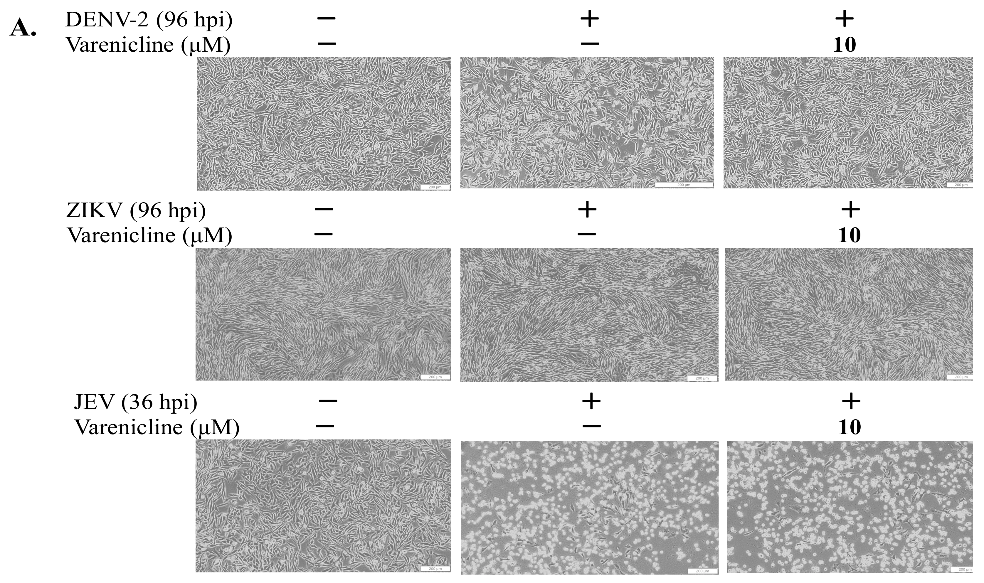 Biomedicines 11 02754 g001a
