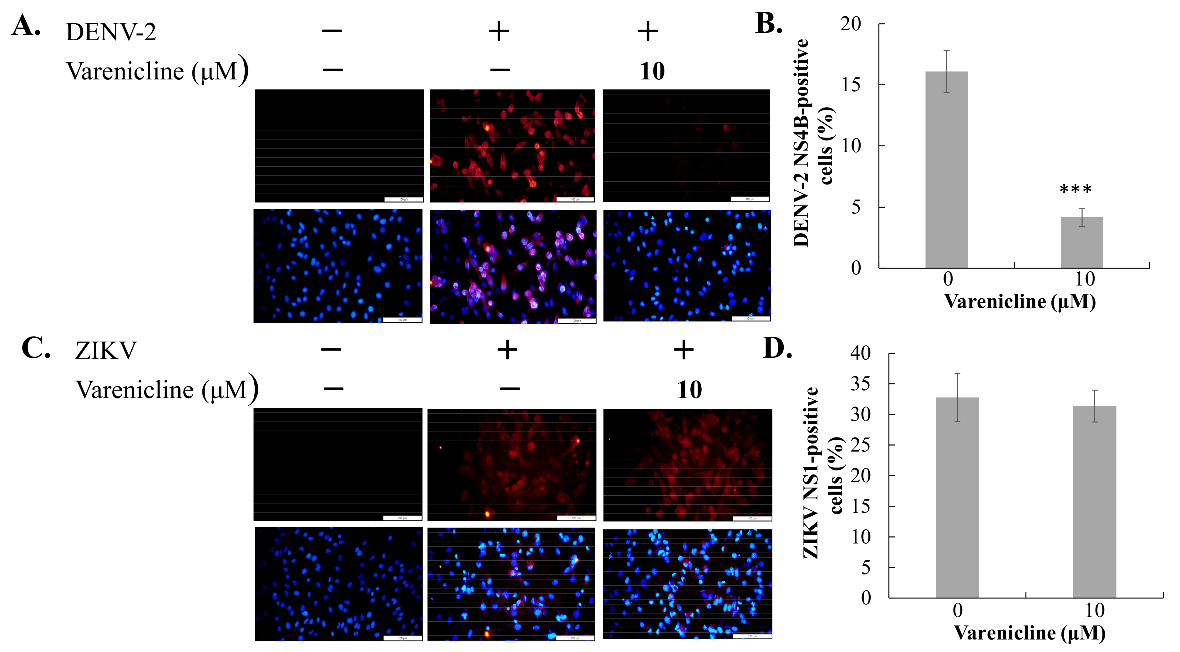 Biomedicines 11 02754 g002