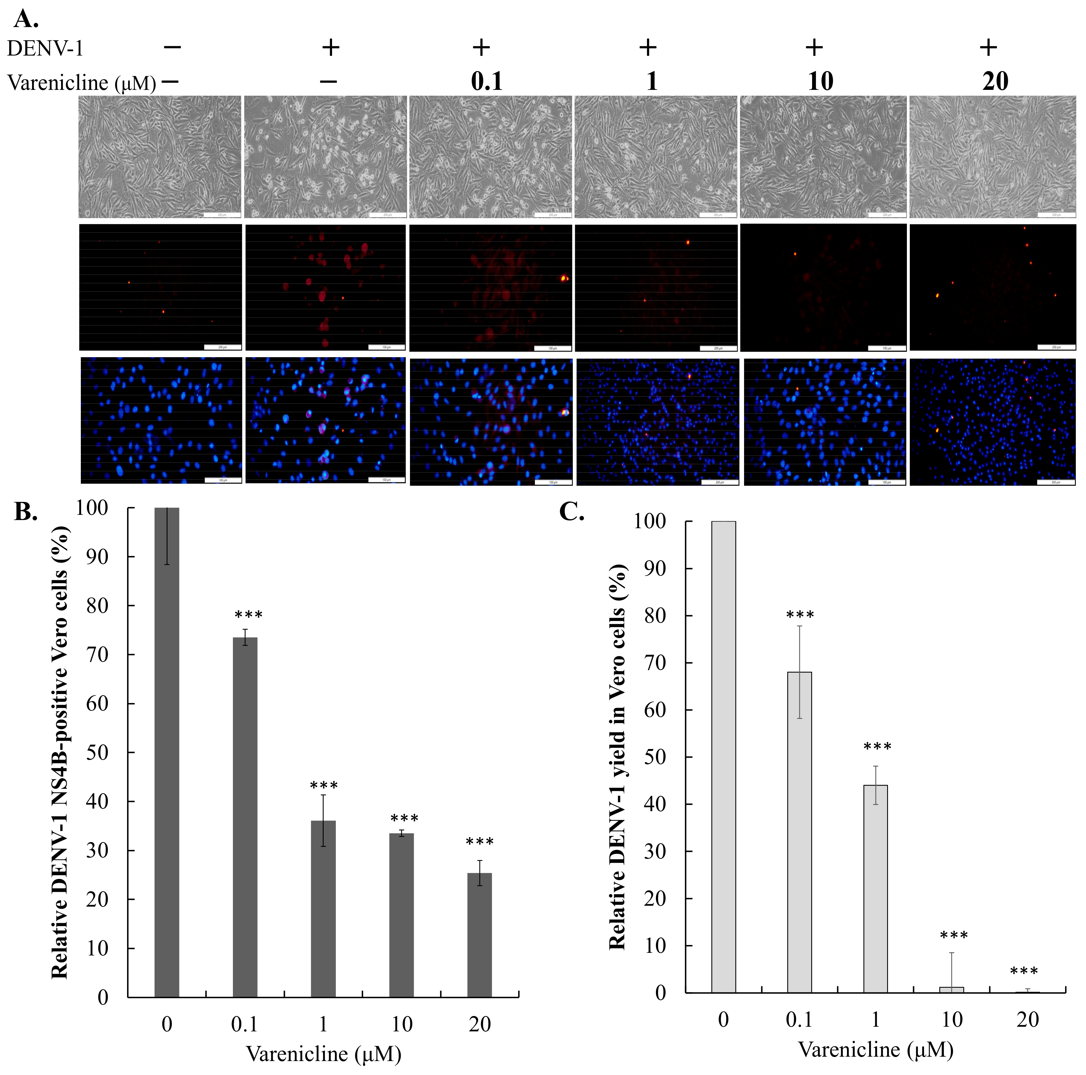 Biomedicines 11 02754 g004