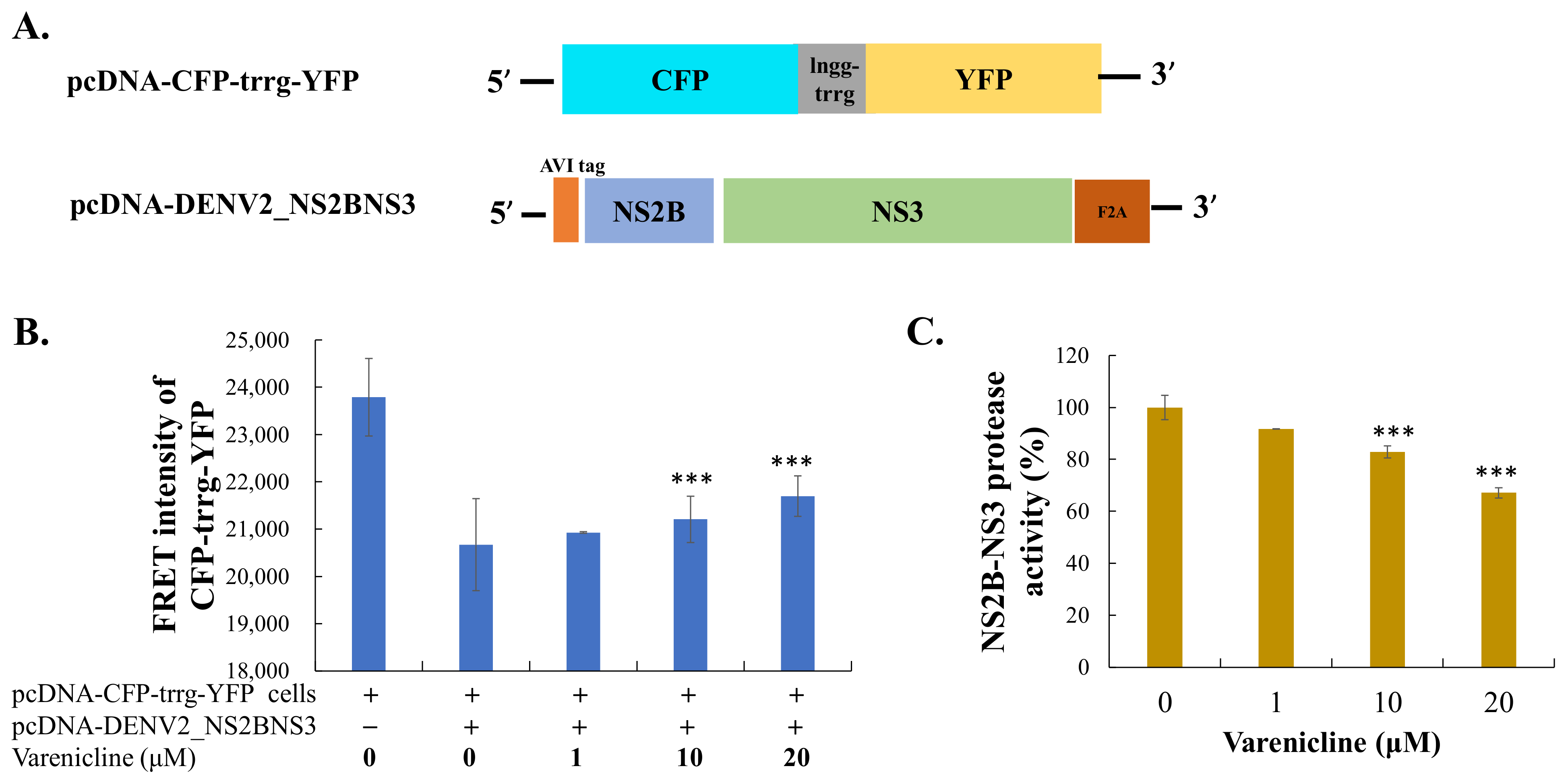 Biomedicines 11 02754 g006