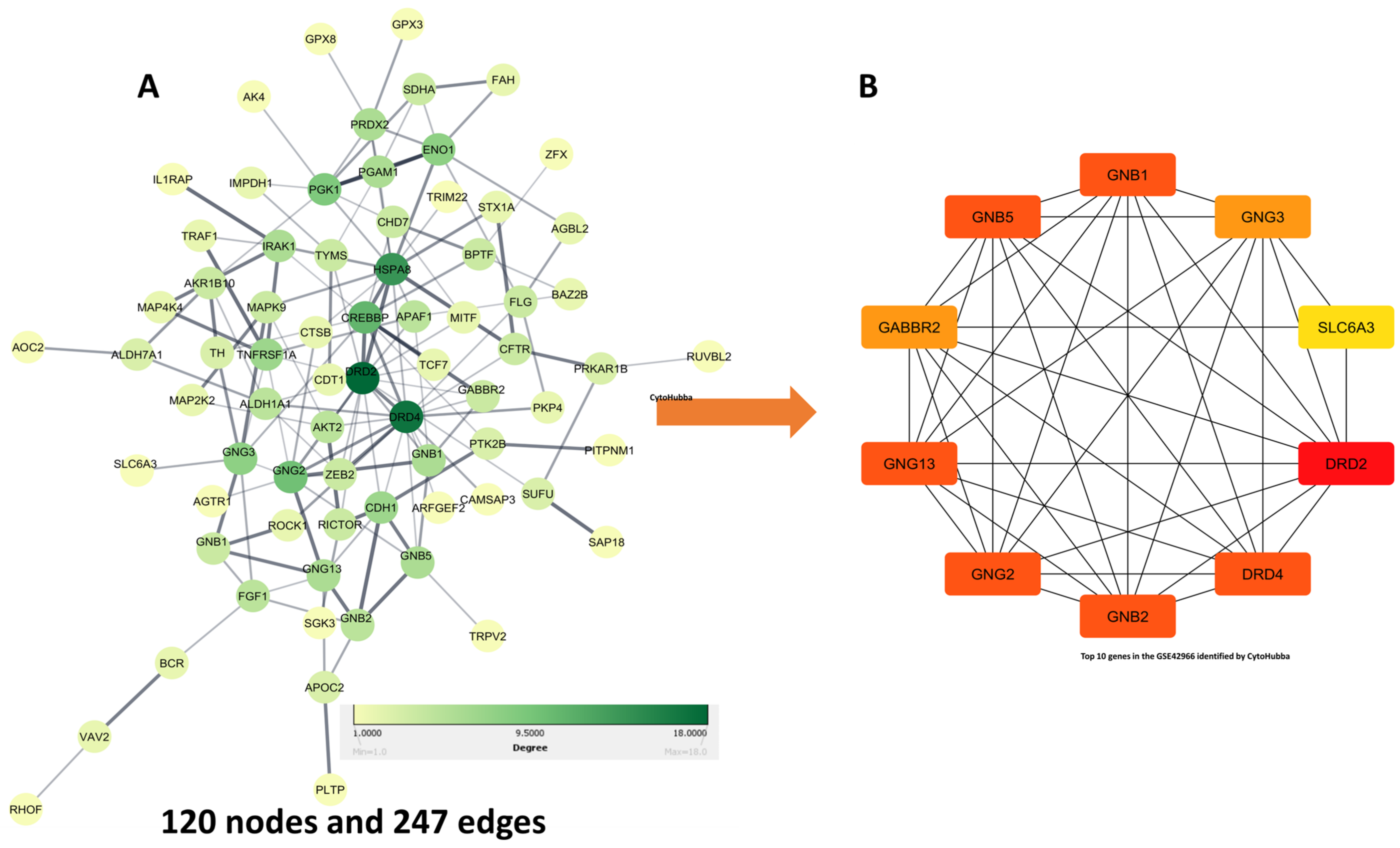 Biomedicines 11 02756 g003