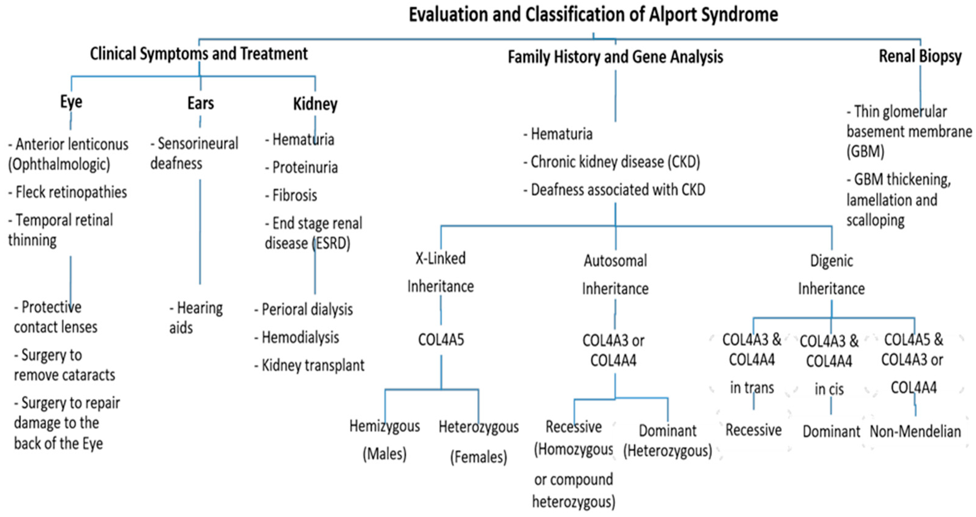 Biomedicines 11 02762 g002 Biomedicines 11 02762 g002