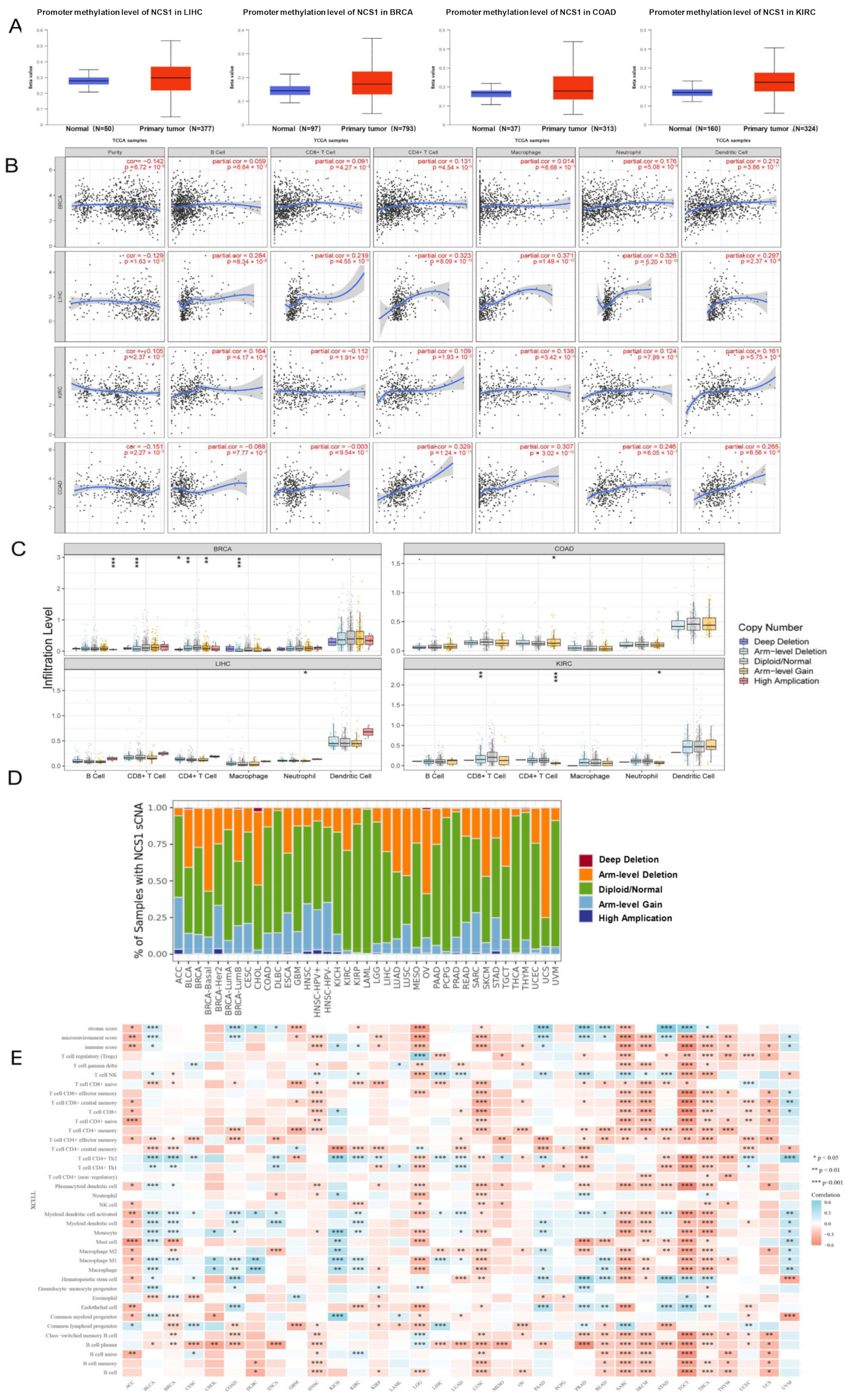 Biomedicines 11 02765 g002