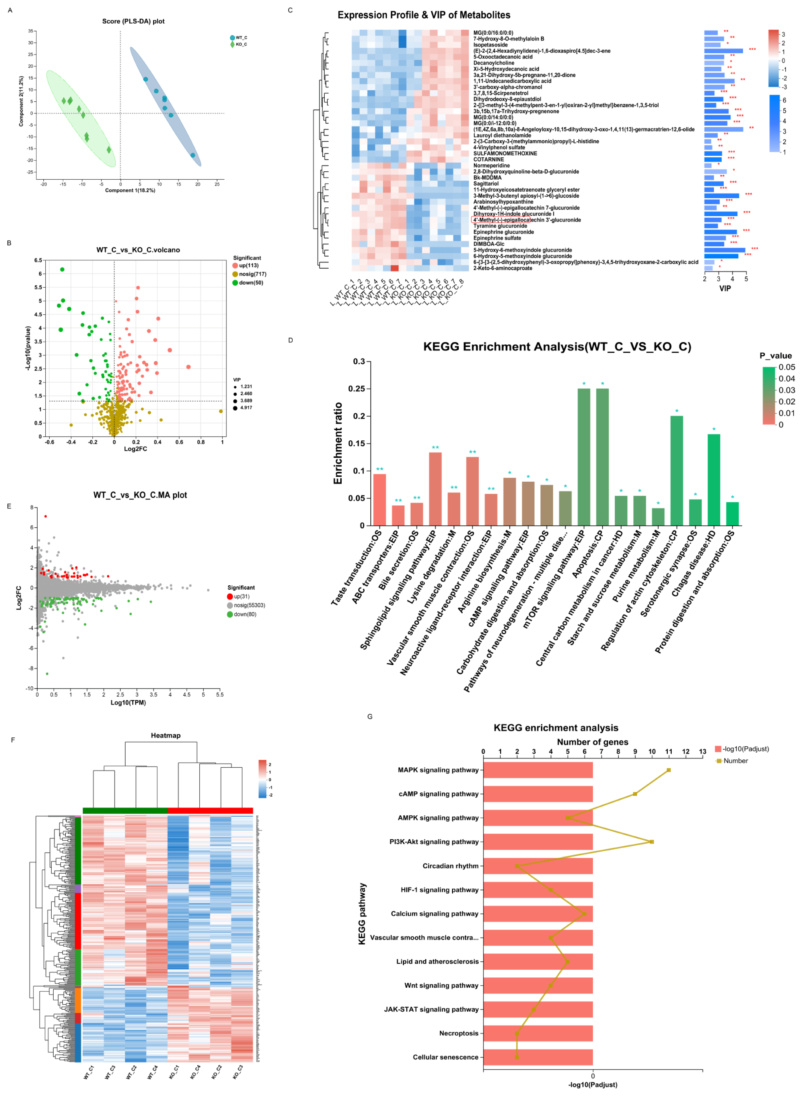 Biomedicines 11 02766 g007