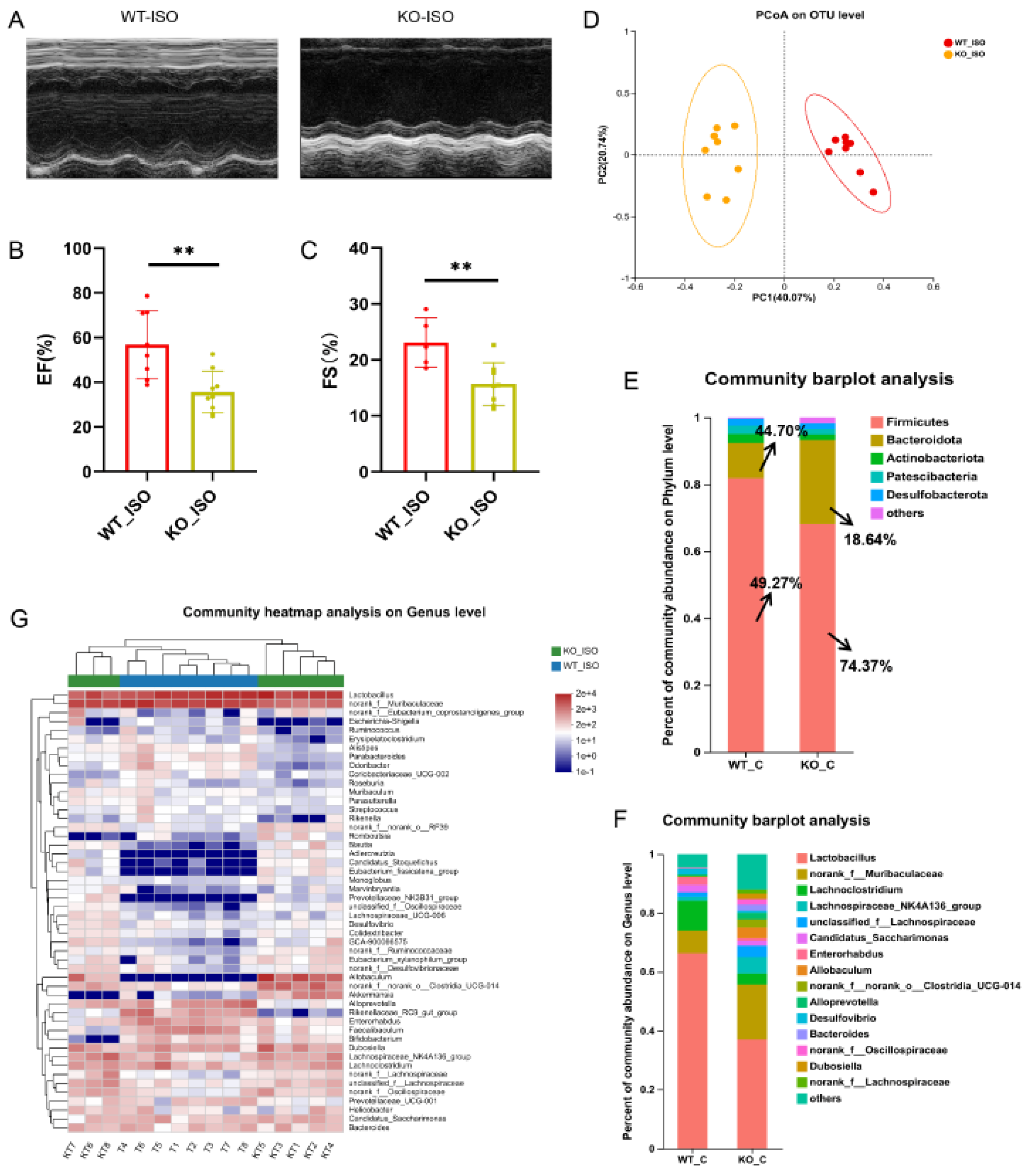 Biomedicines 11 02766 g008