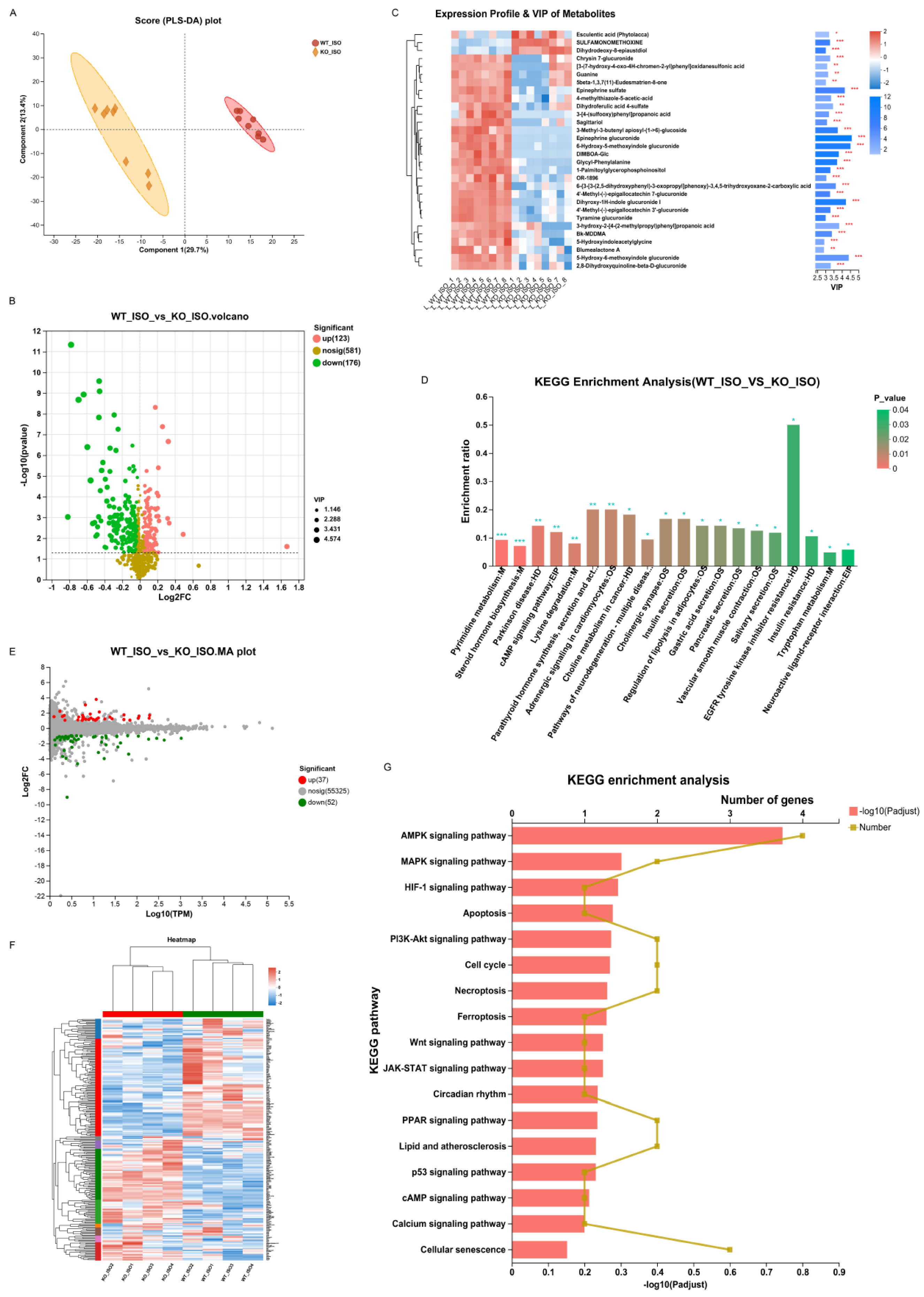 Biomedicines 11 02766 g010