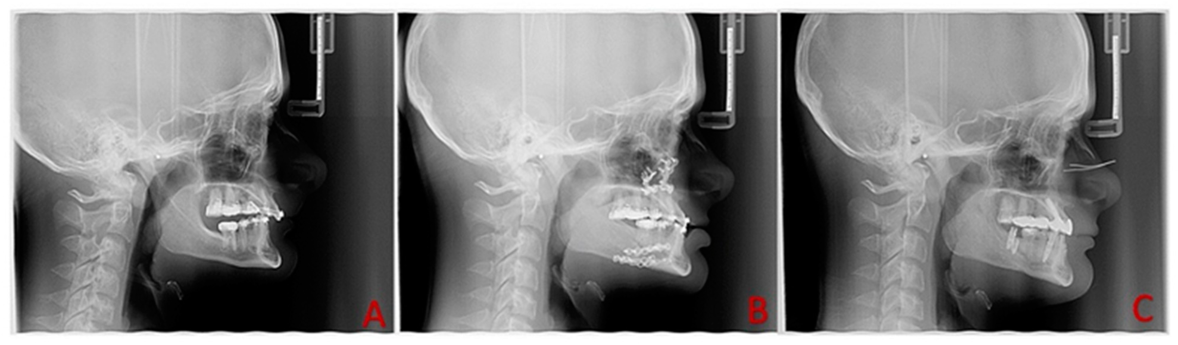 Biomedicines 11 02767 g002