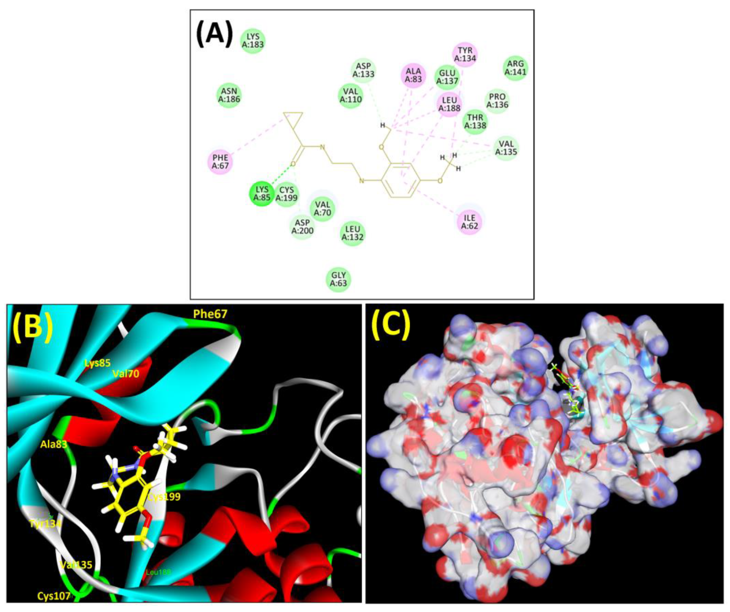 Biomedicines 11 02784 g003