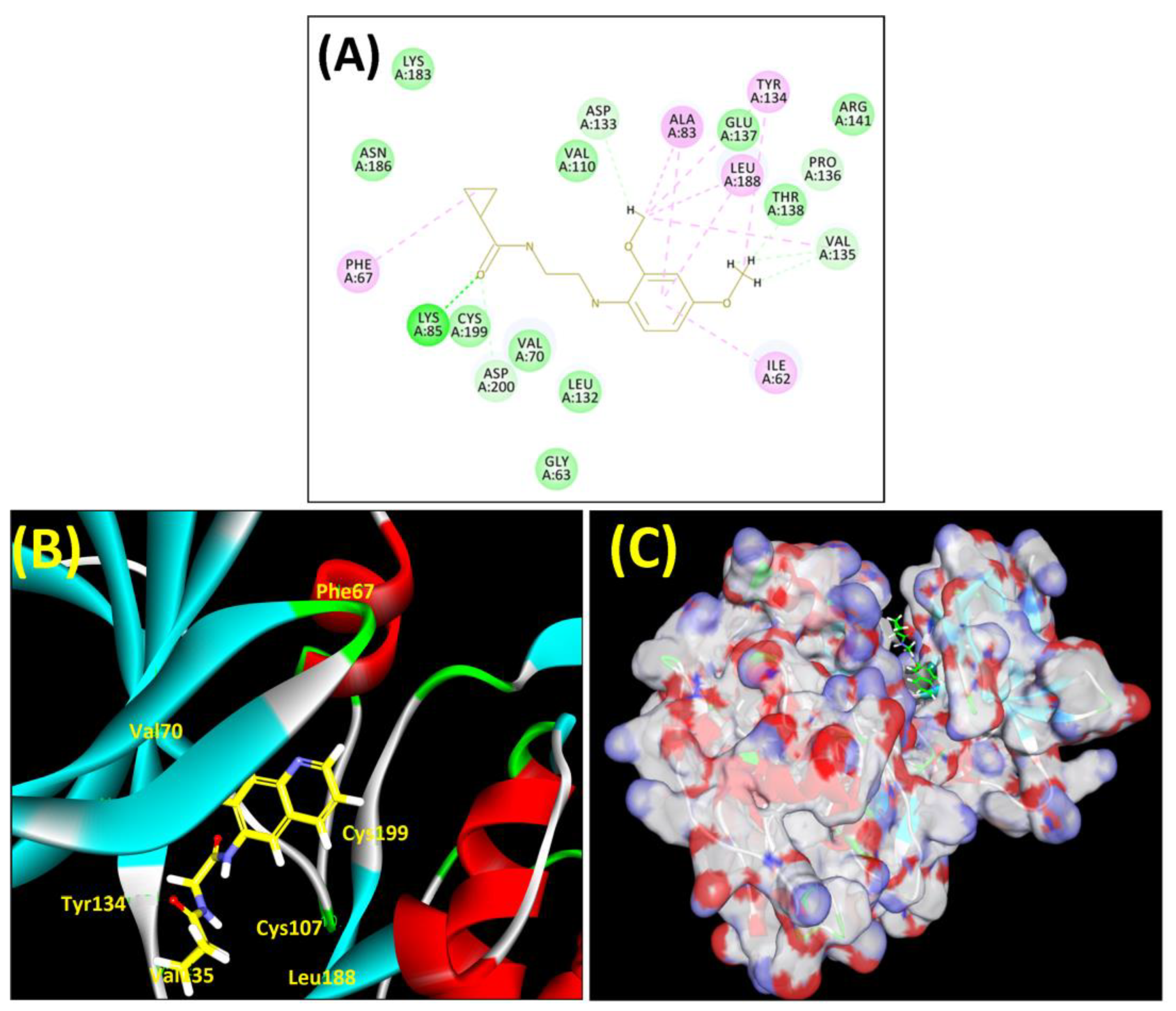 Biomedicines 11 02784 g004
