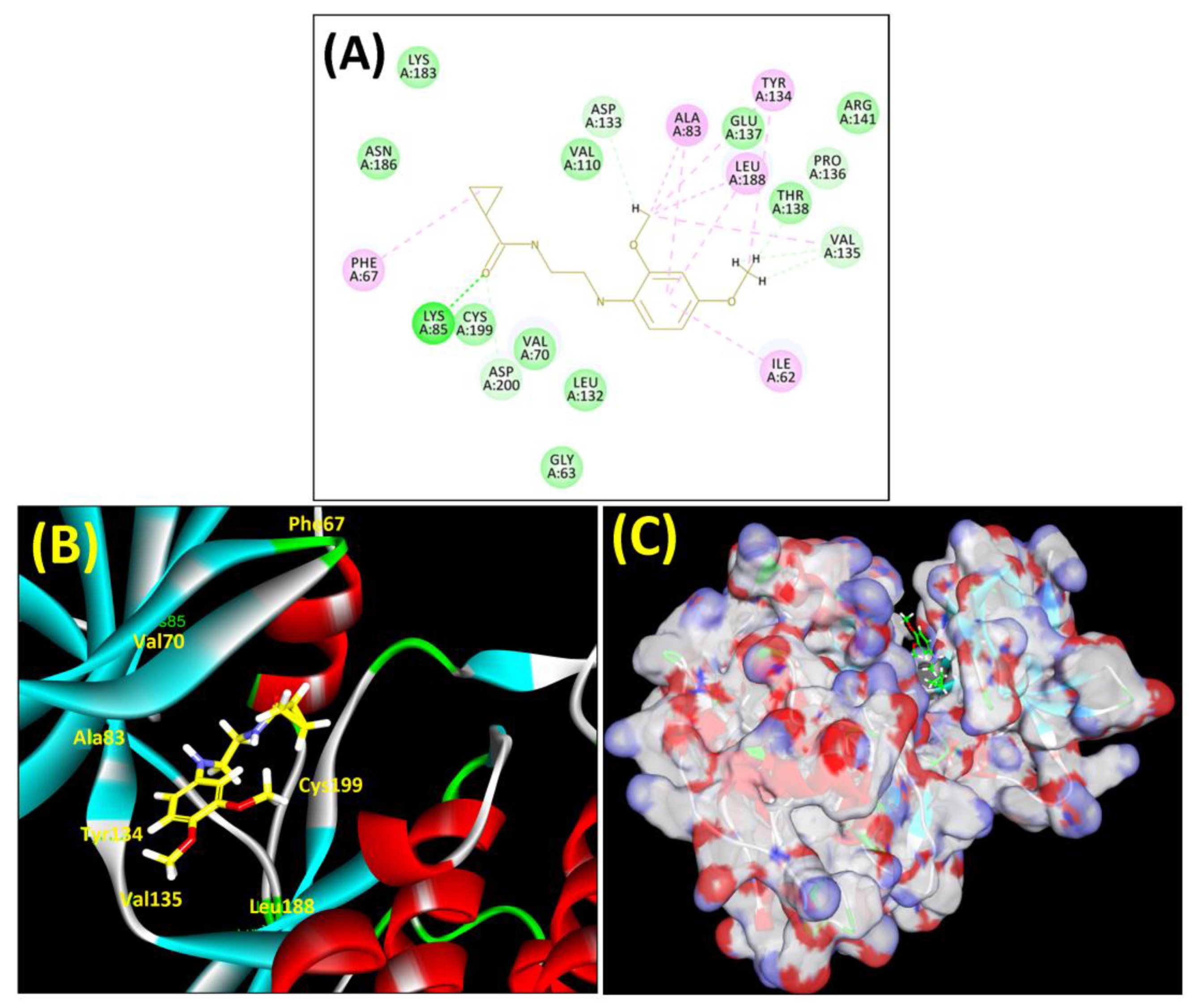 Biomedicines 11 02784 g005
