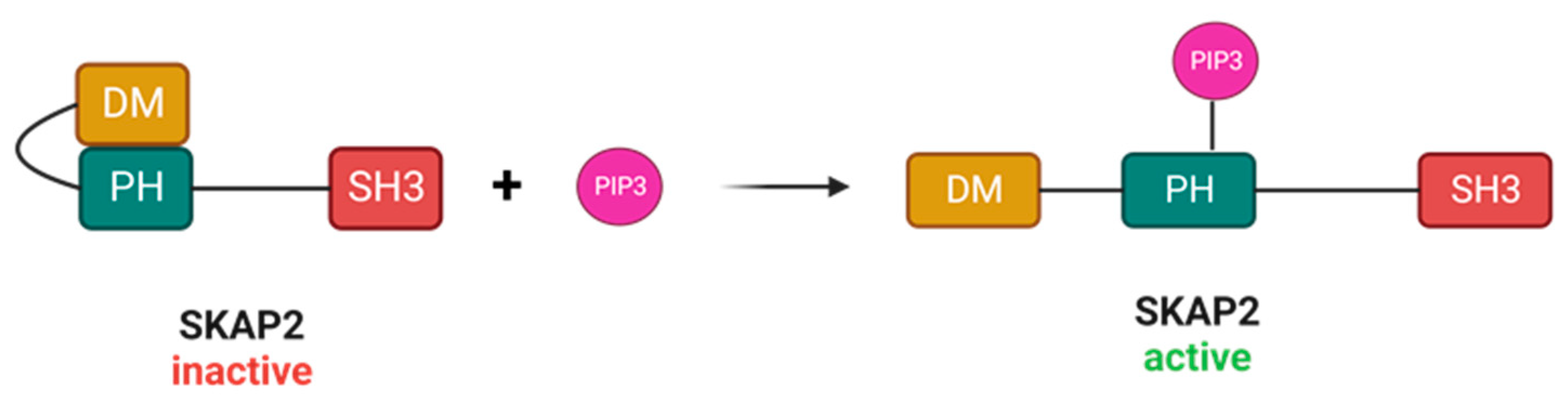 Biomedicines 11 02788 g001