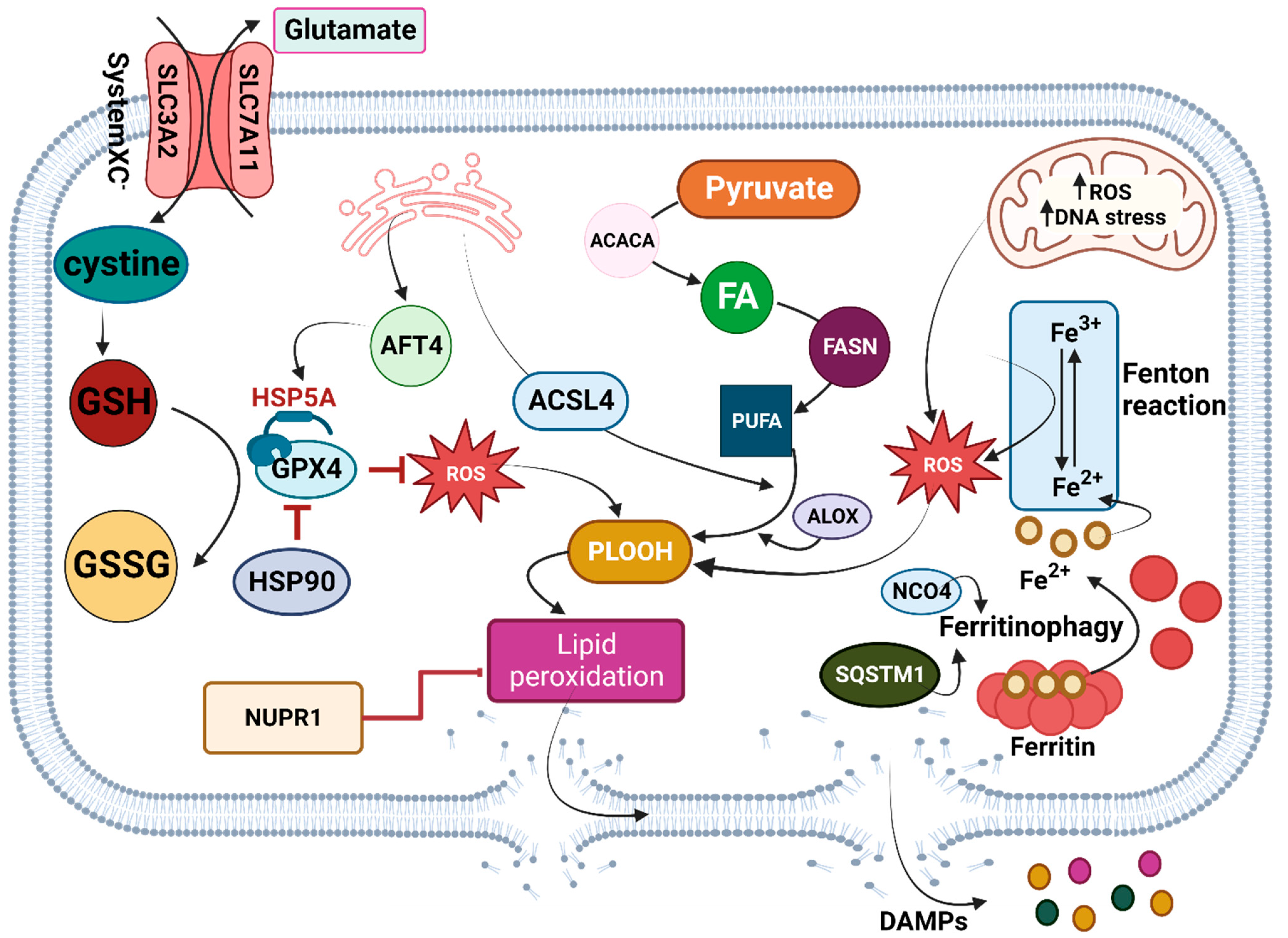 Biomedicines 11 02792 g001