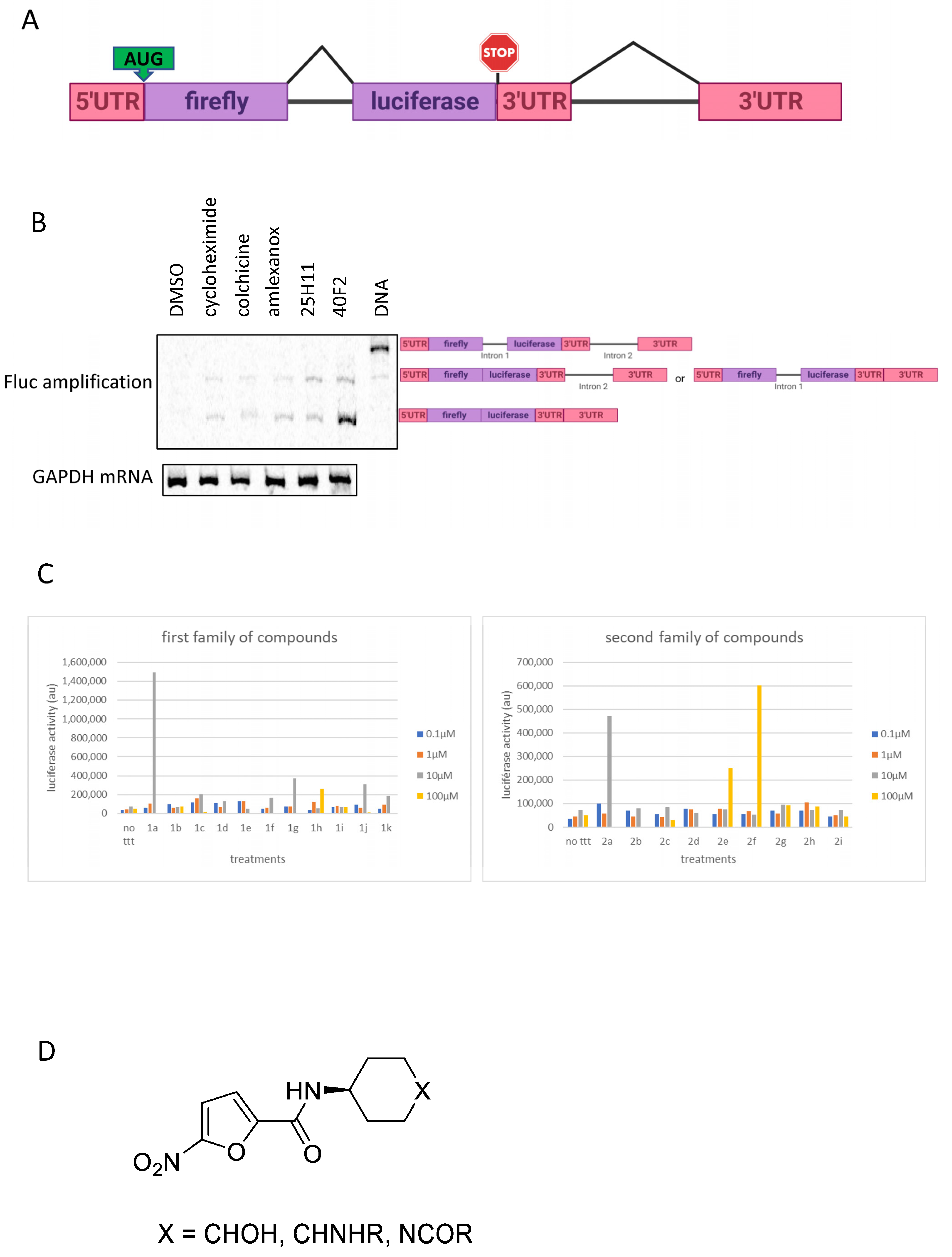 Biomedicines 11 02801 g002