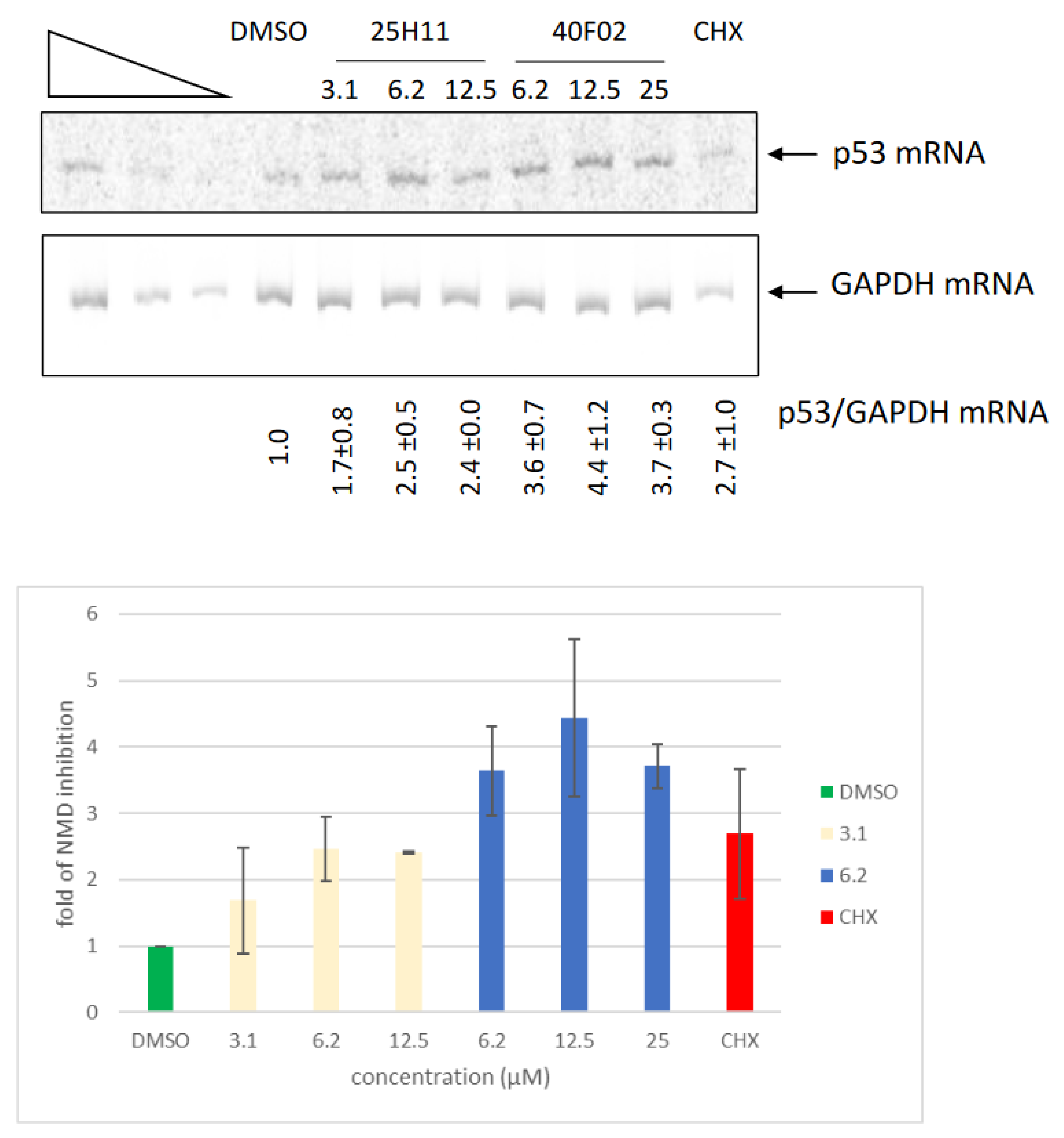 Biomedicines 11 02801 g005
