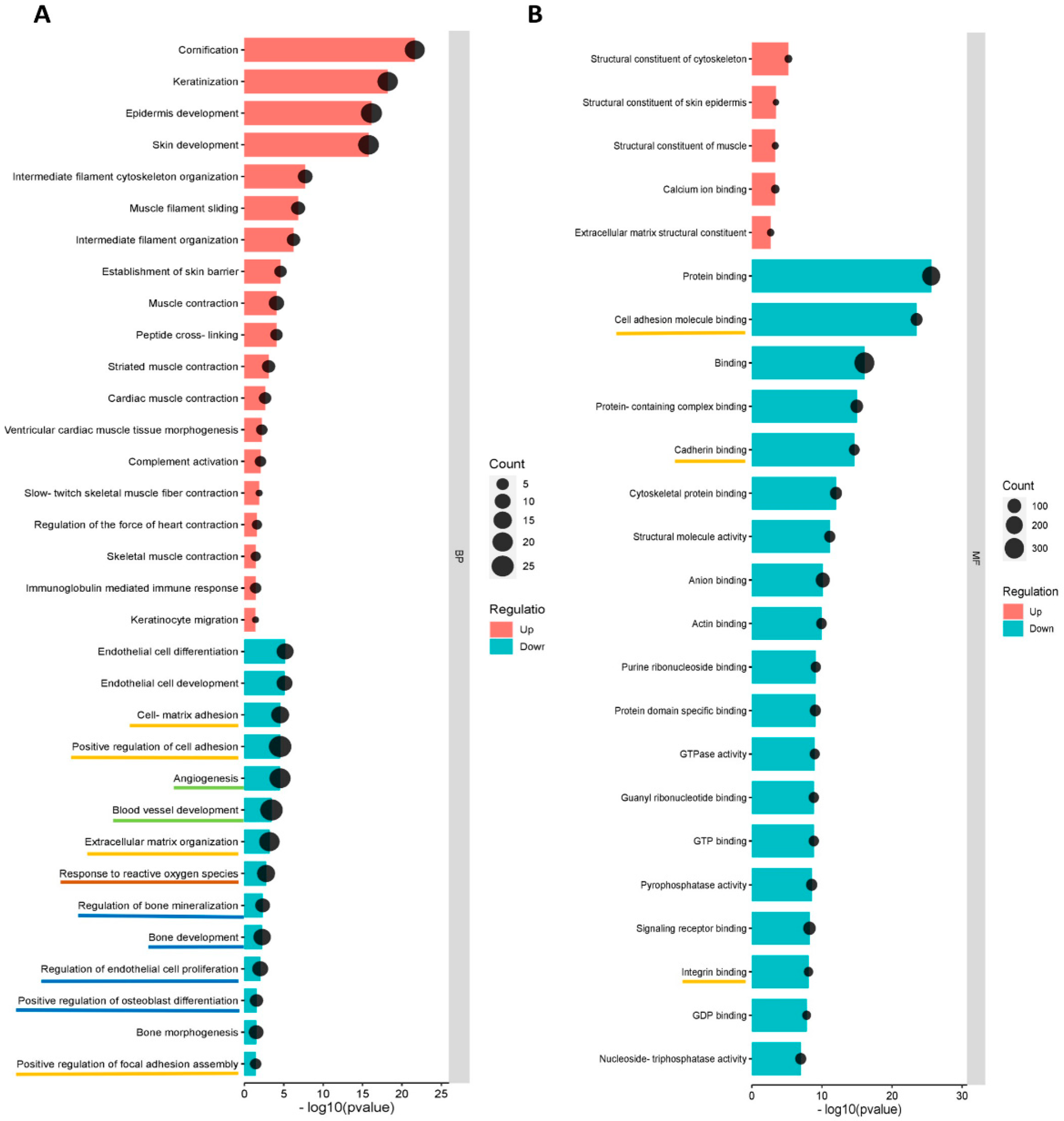 Biomedicines 11 02804 g005a Biomedicines 11 02804 g005a