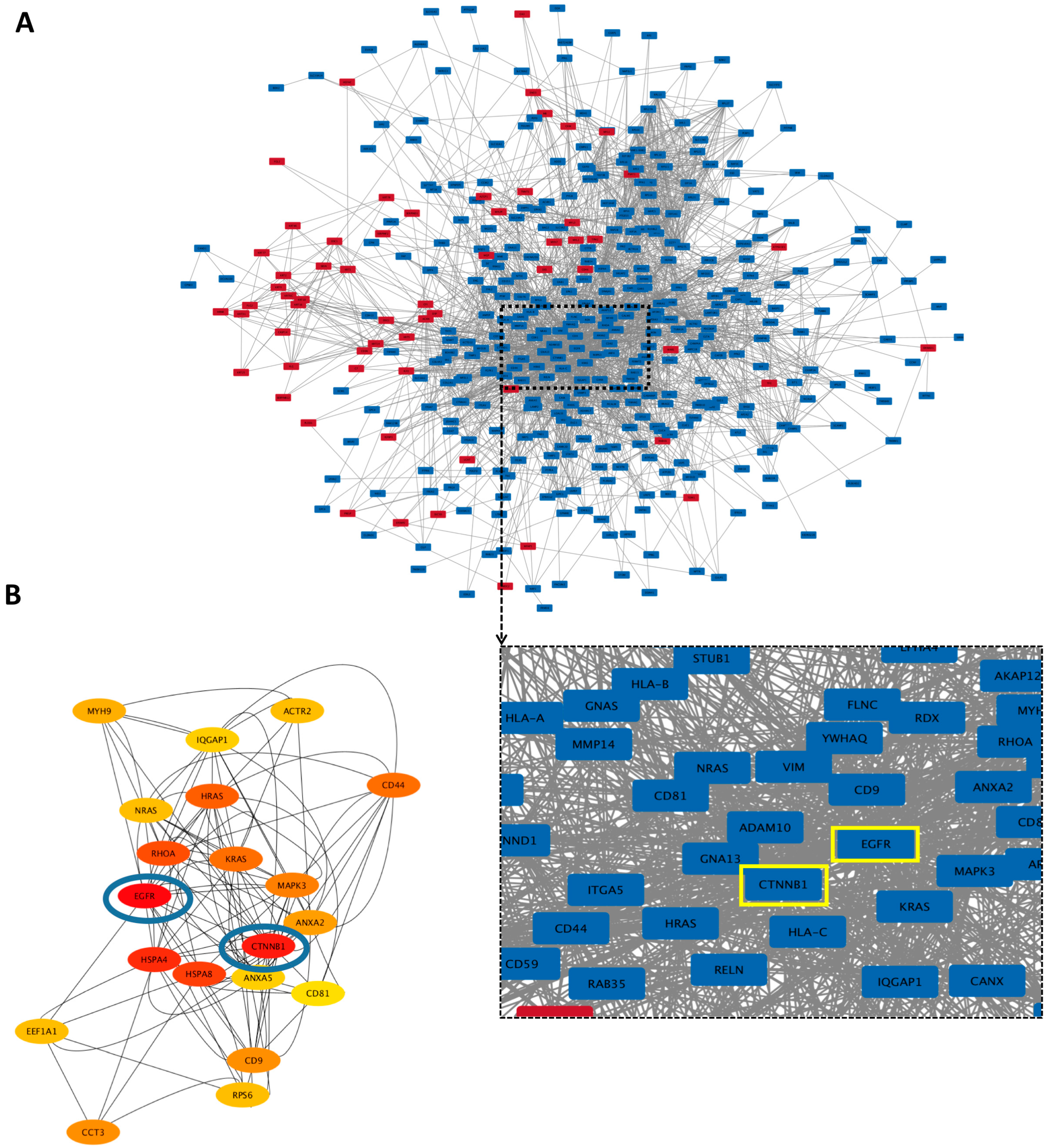 Biomedicines 11 02804 g006 Biomedicines 11 02804 g006
