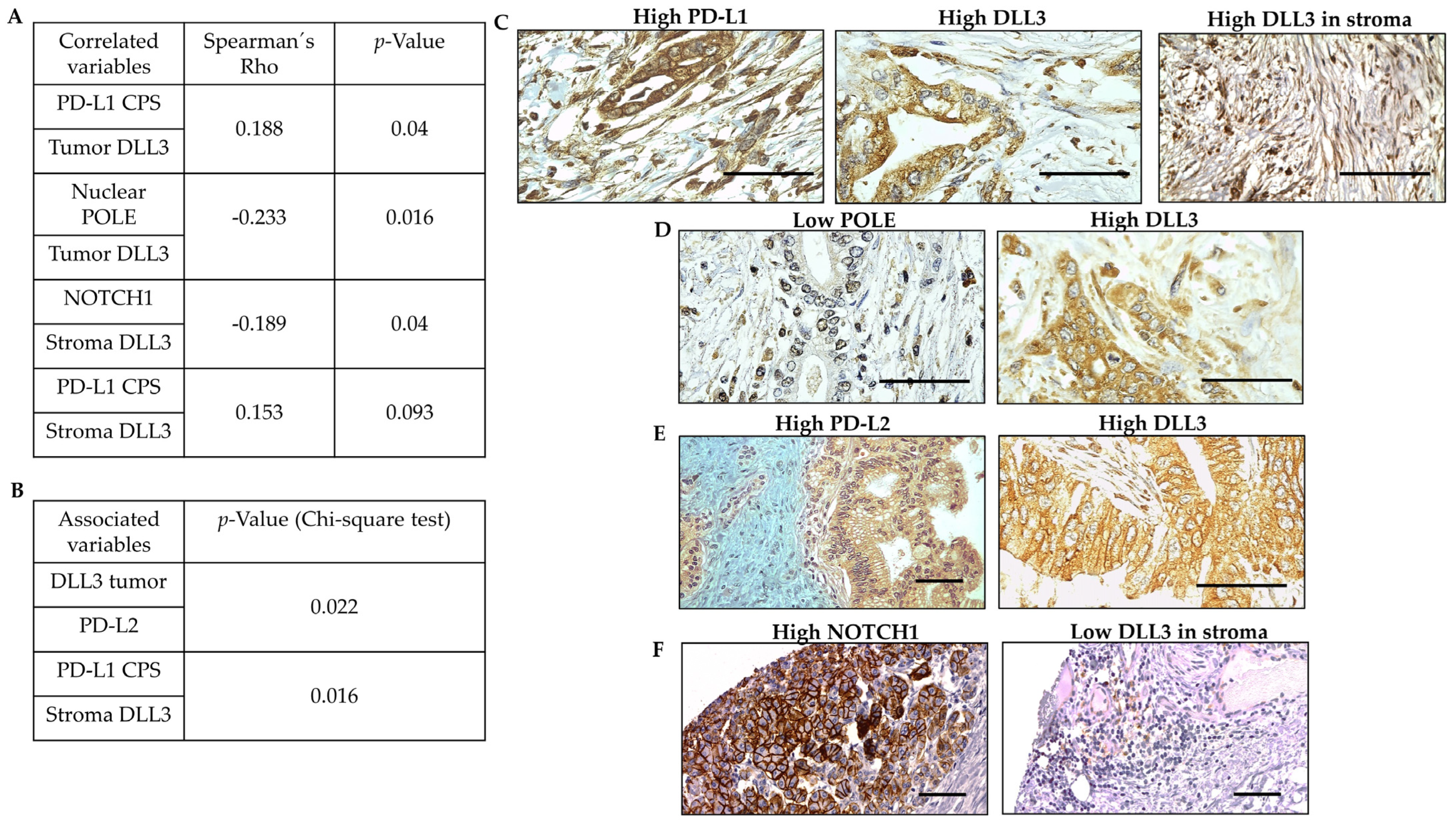 Biomedicines 11 02812 g004