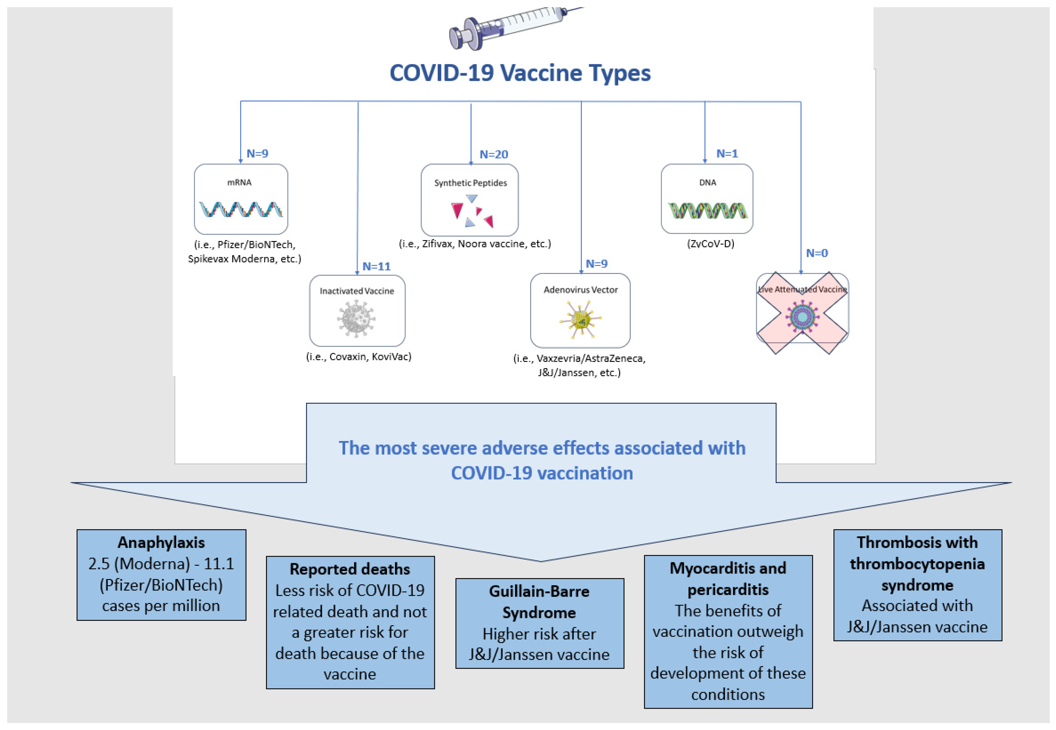 Biomedicines 11 02813 g001