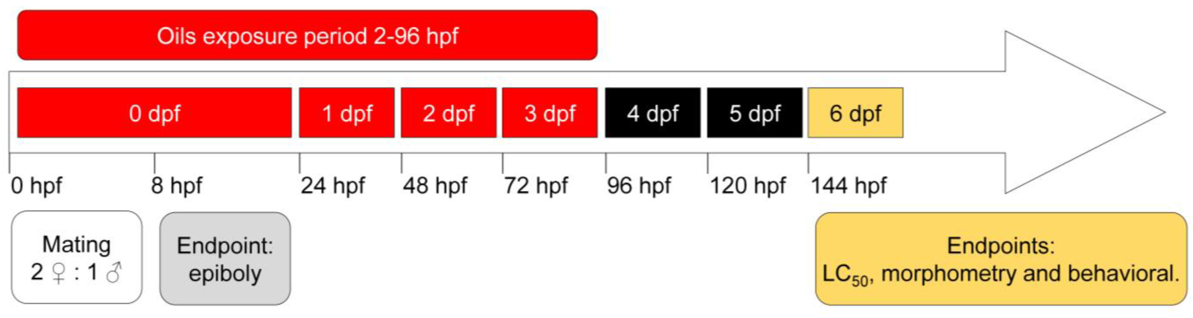 Biomedicines 11 02821 g001