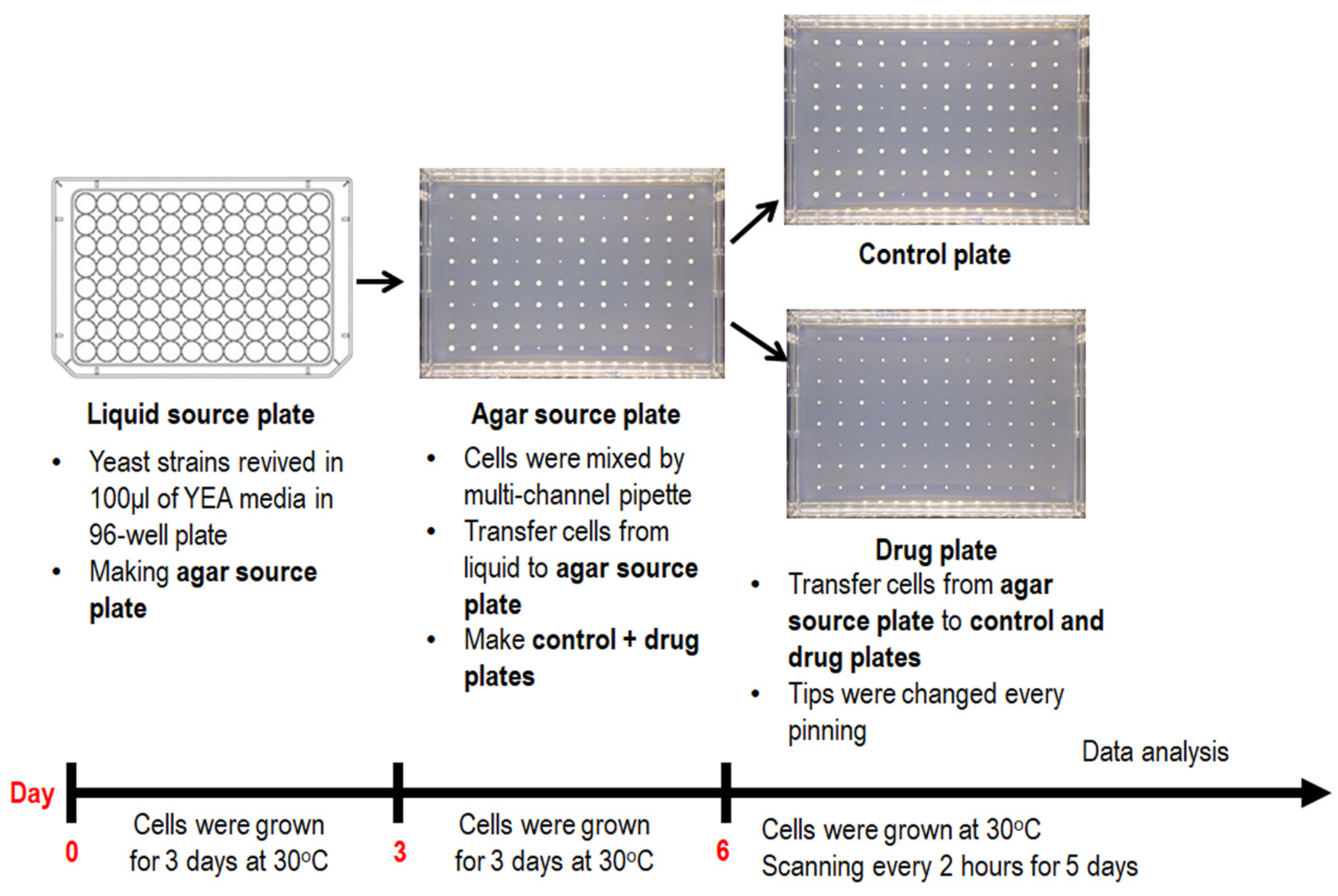 Biomedicines 11 02829 g002