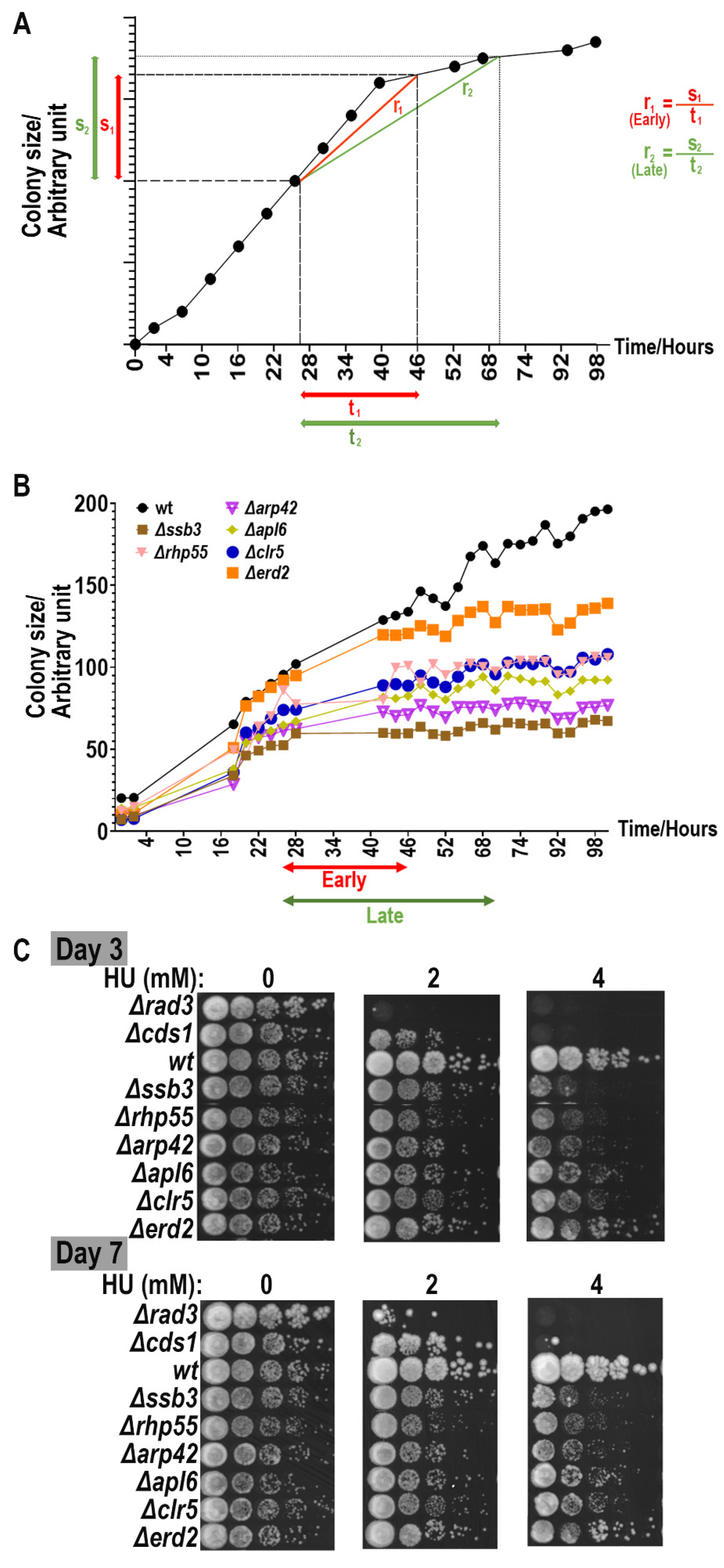 Biomedicines 11 02829 g003