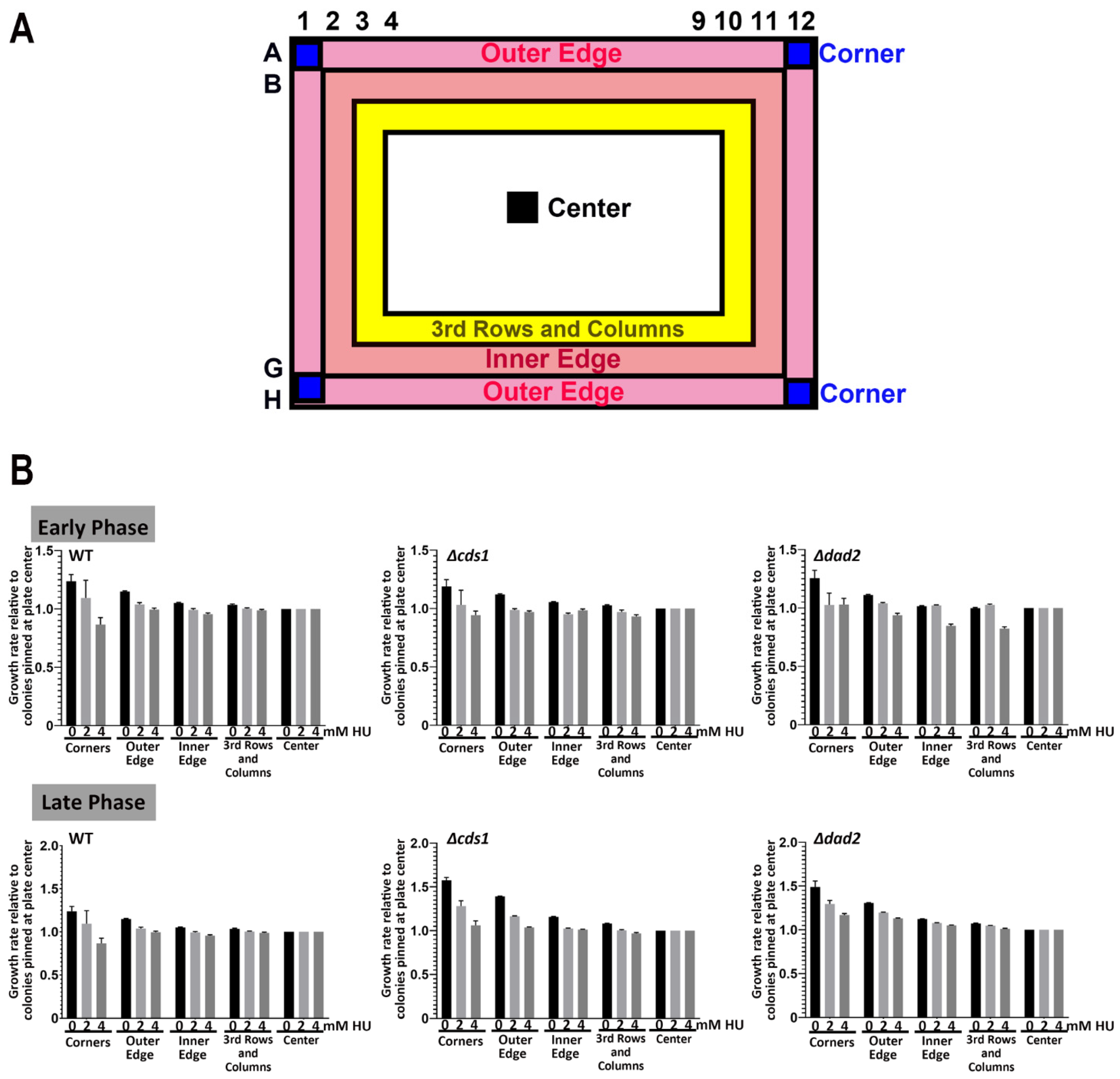 Biomedicines 11 02829 g004