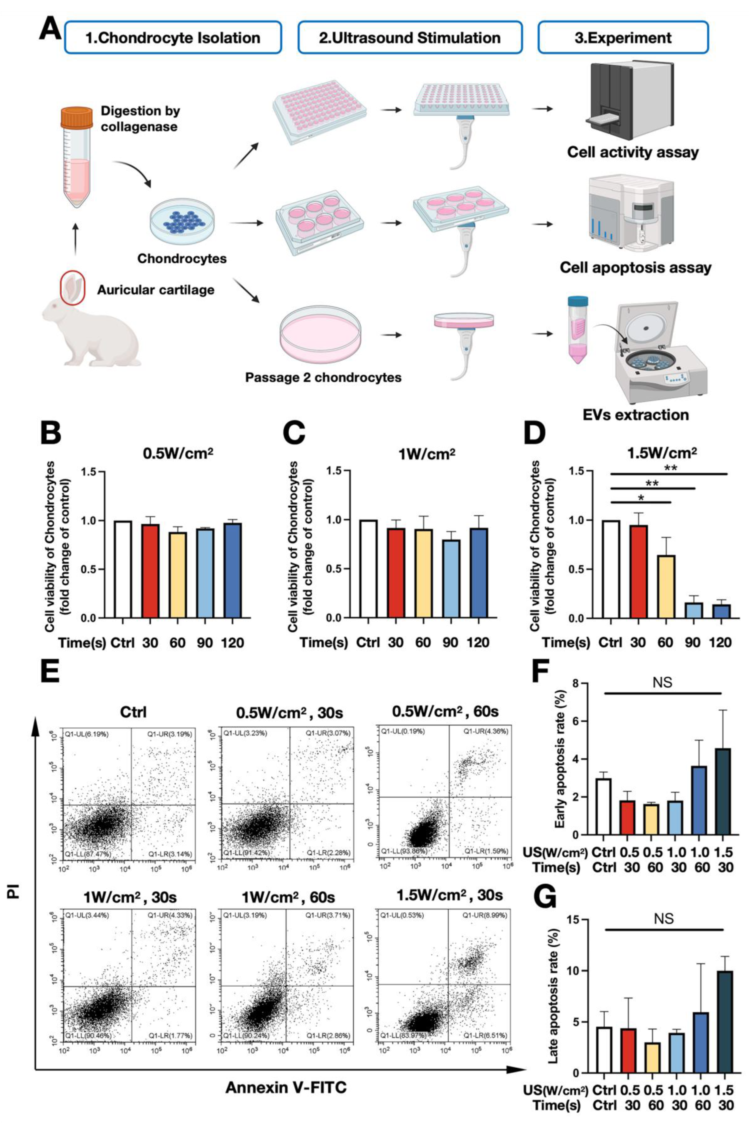 Biomedicines 11 02836 g001 Biomedicines 11 02836 g001