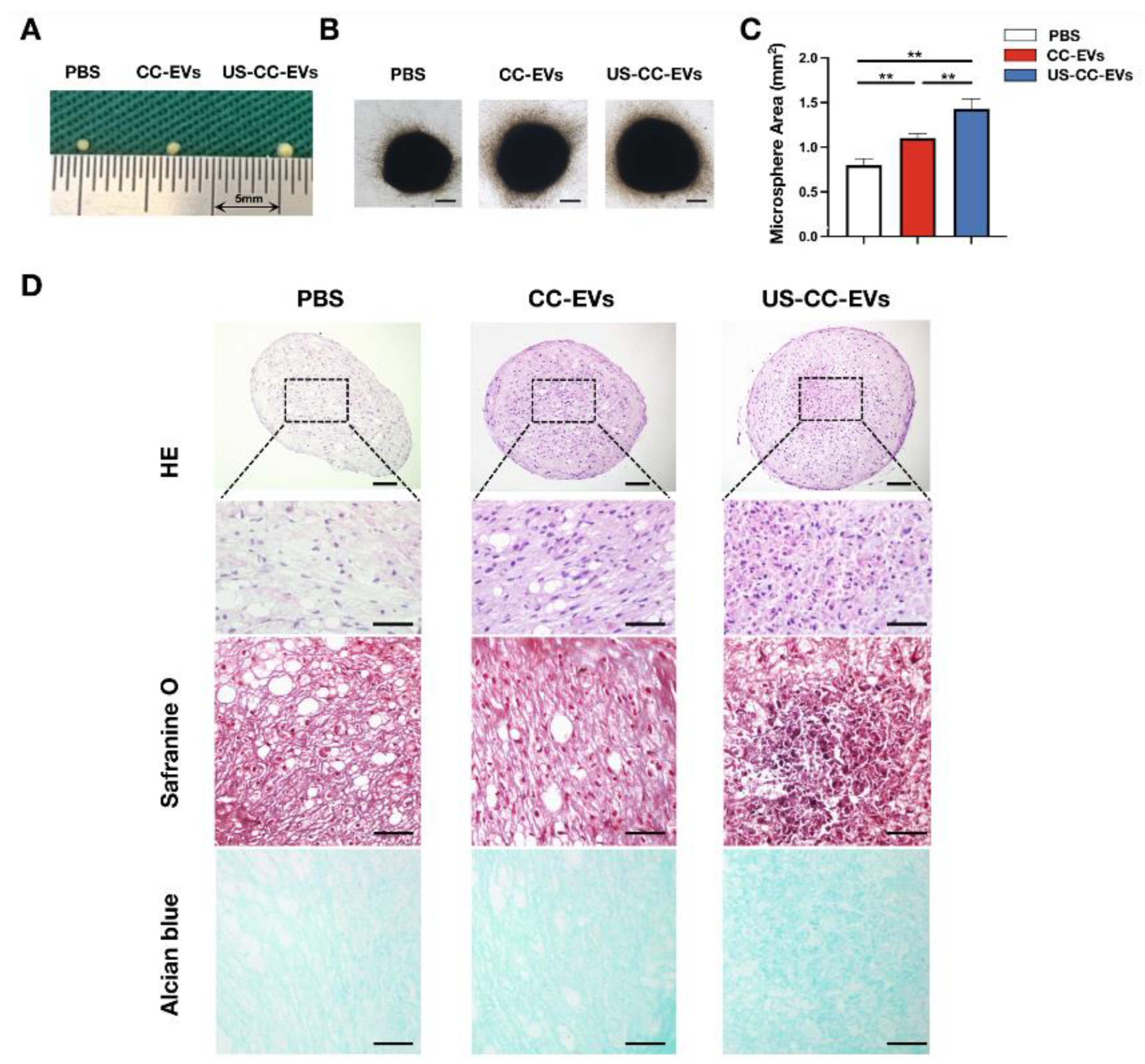 Biomedicines 11 02836 g004 Biomedicines 11 02836 g004
