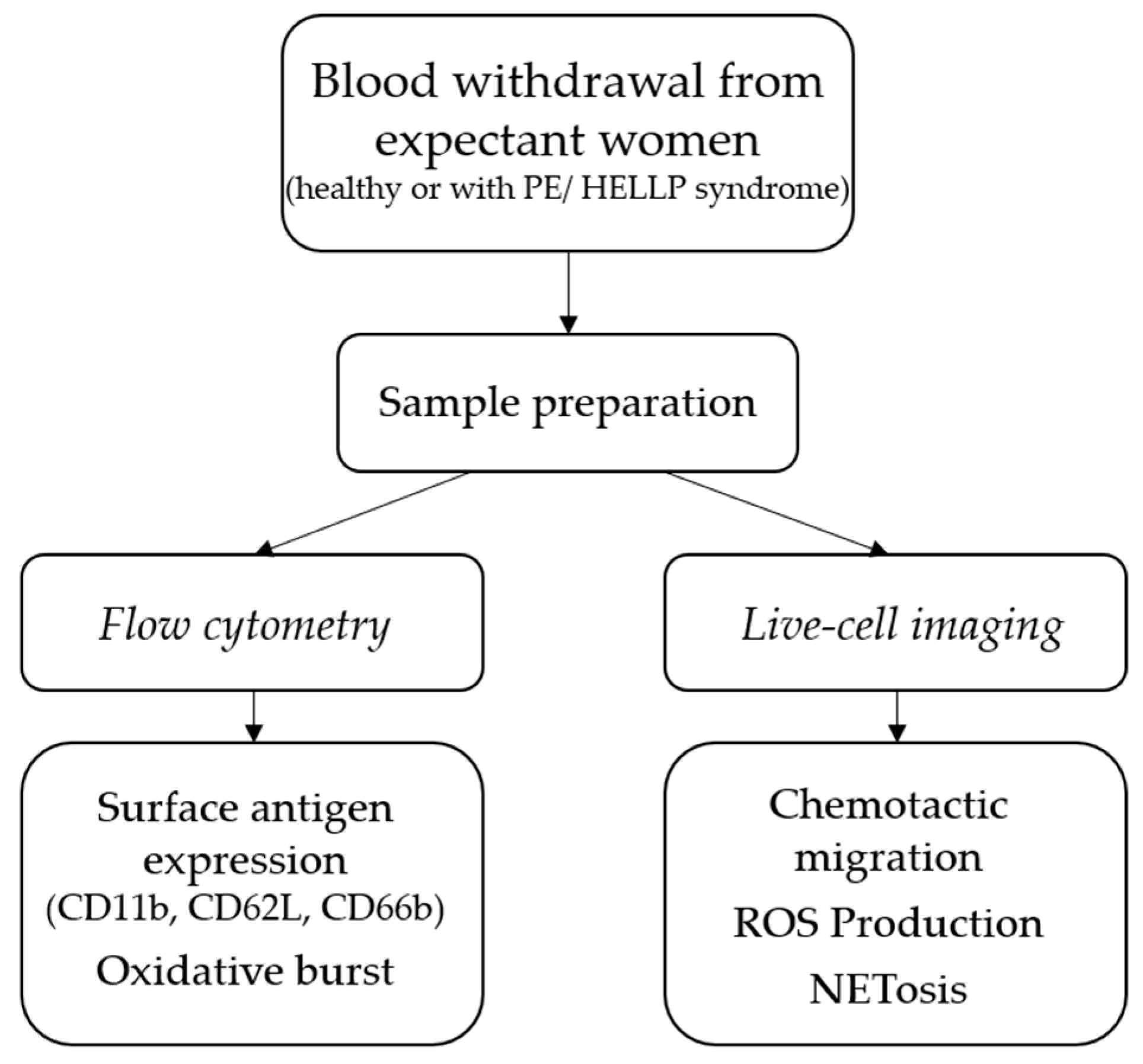 Biomedicines 11 02851 g002