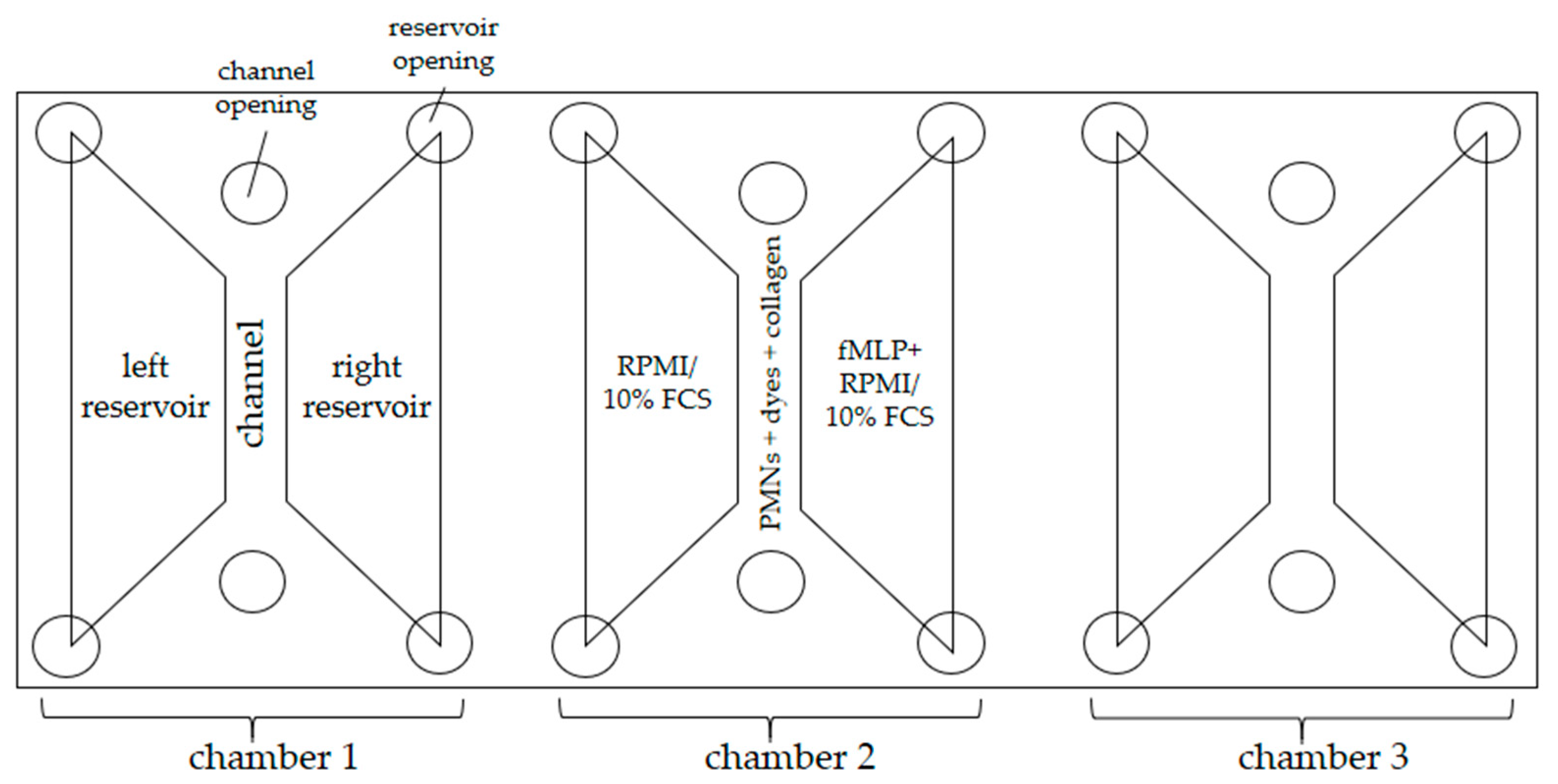 Biomedicines 11 02851 g003