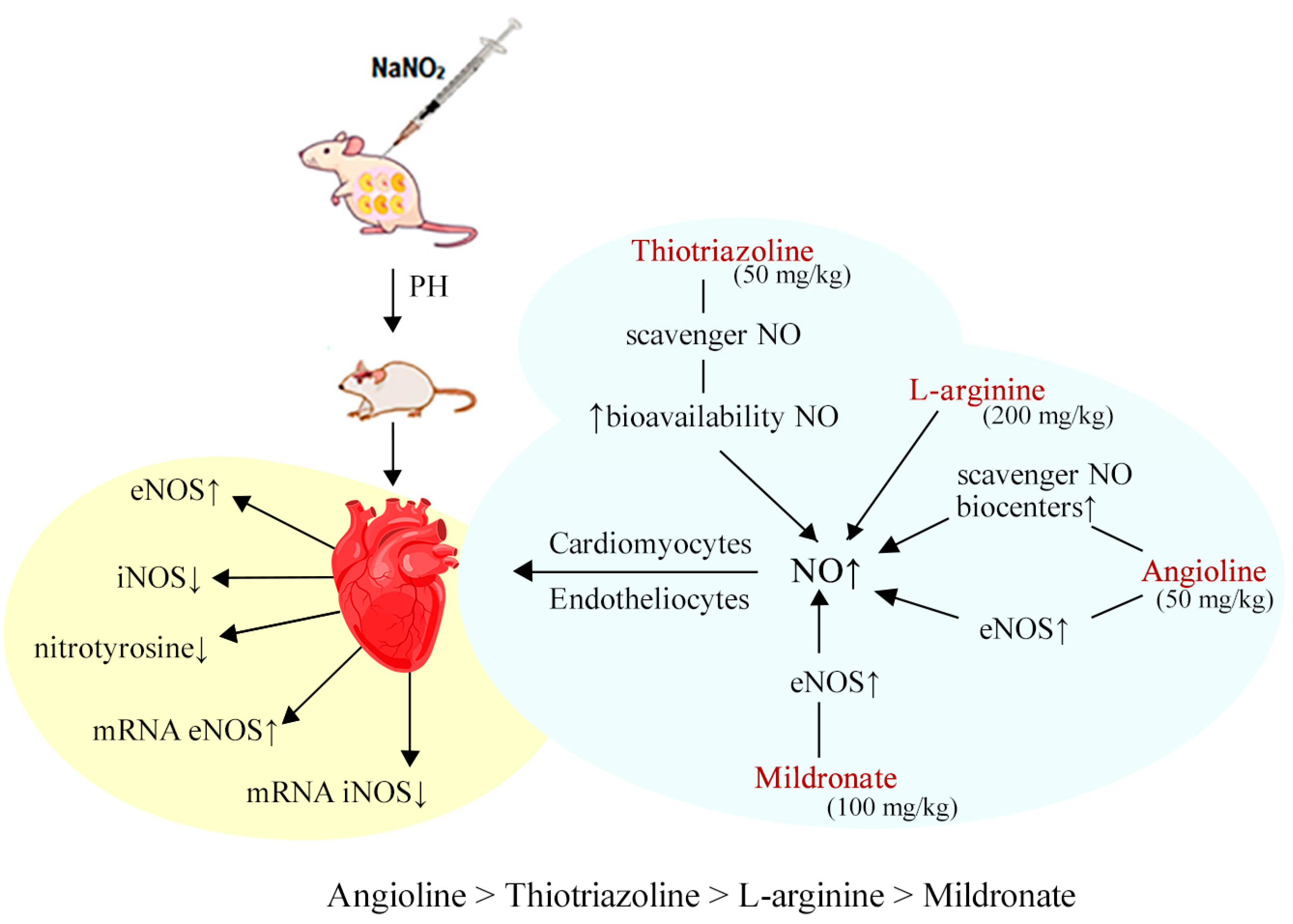 Biomedicines 11 02854 g001