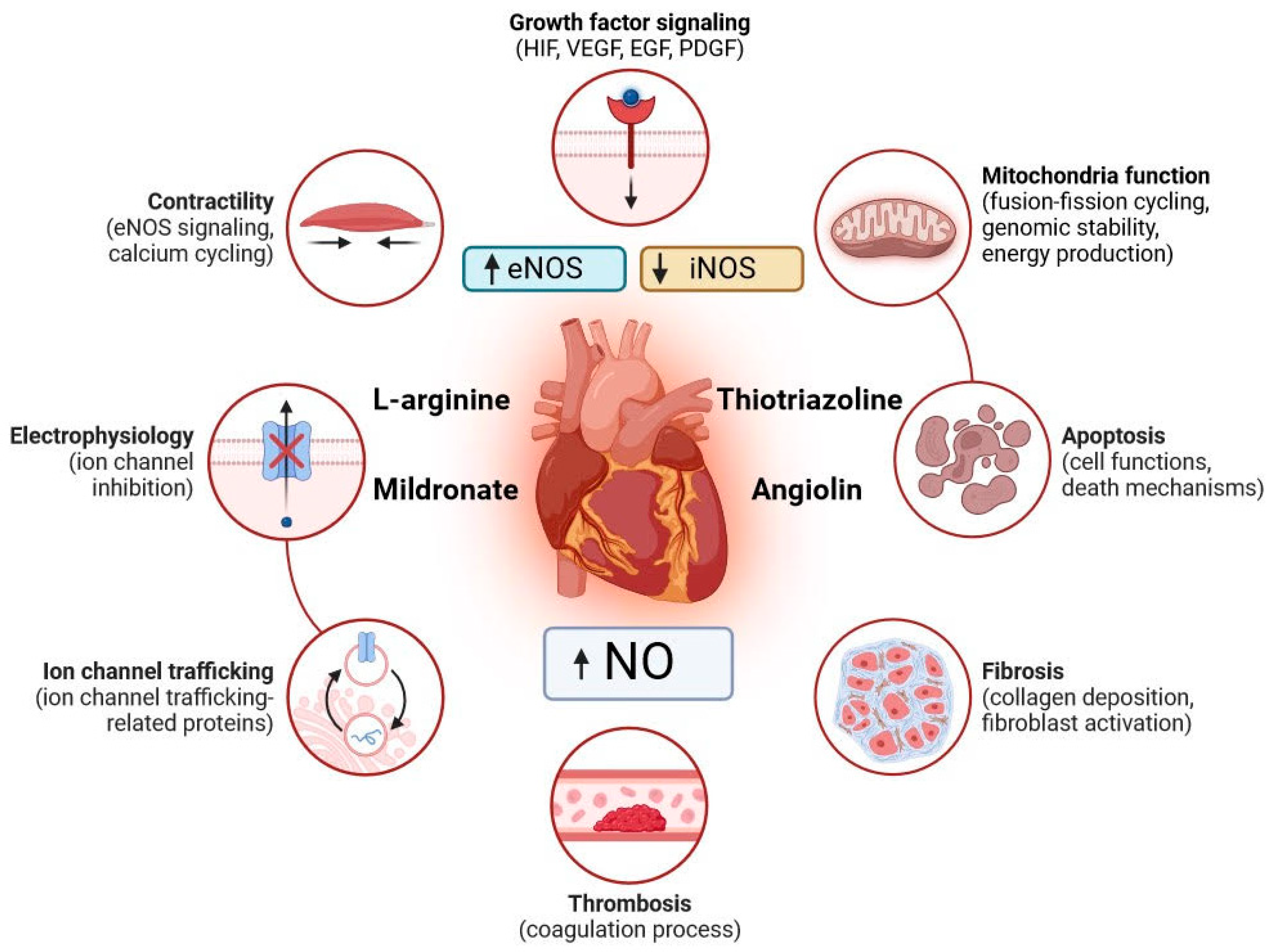 Biomedicines 11 02854 g002